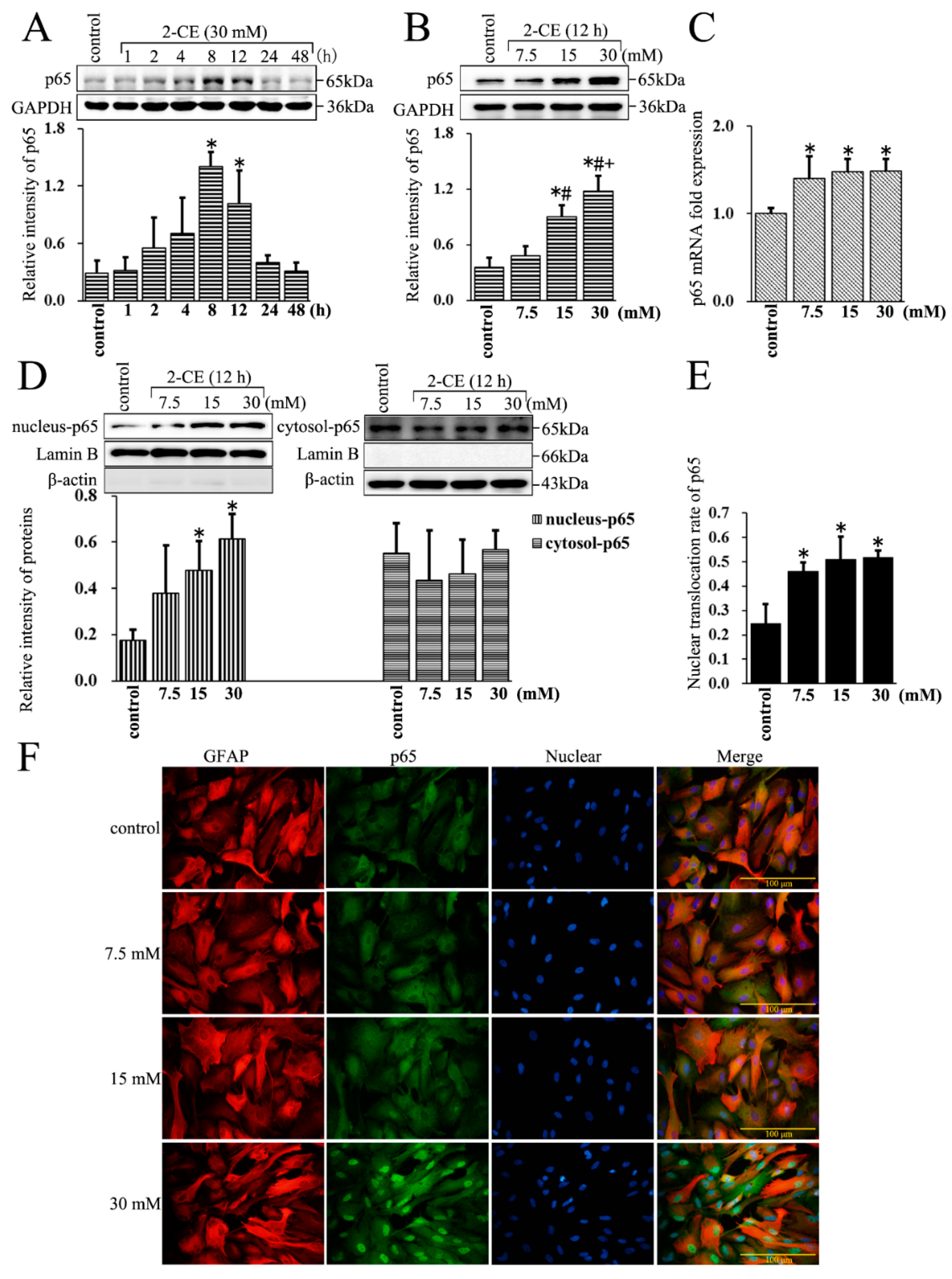 Cells 07 00096 g002