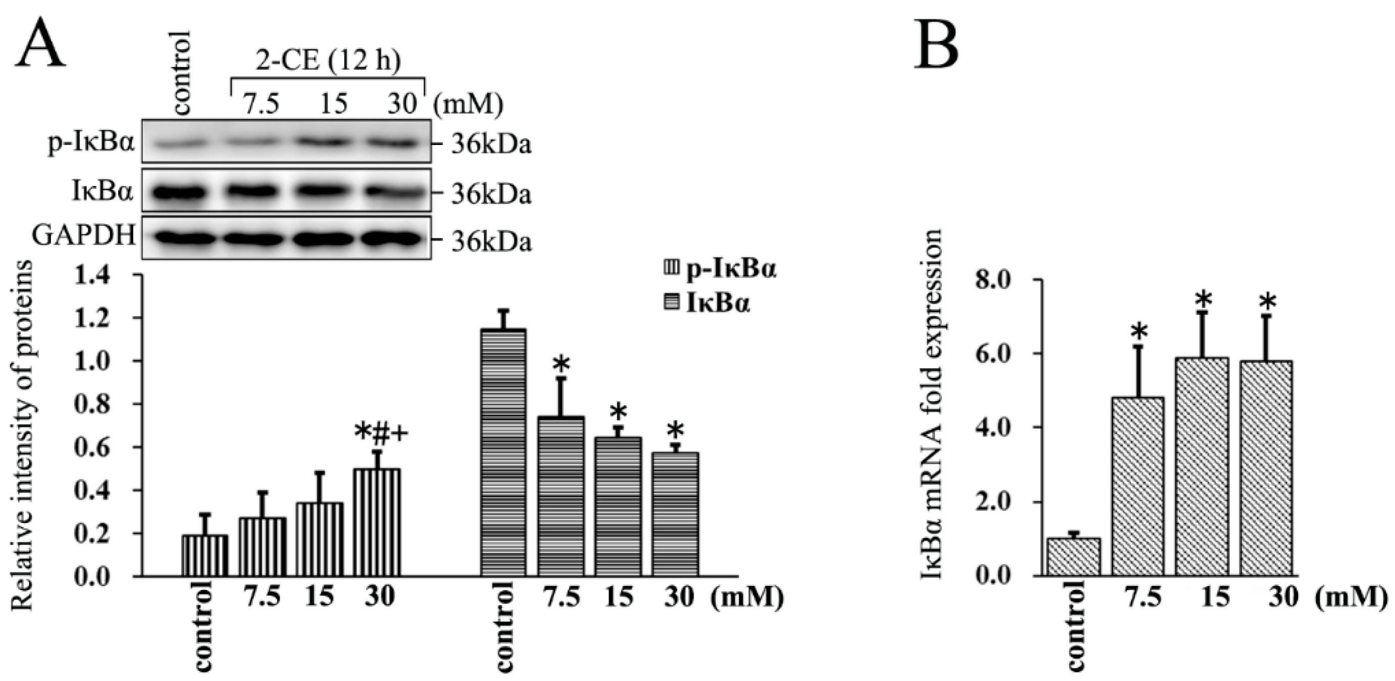 Cells 07 00096 g003