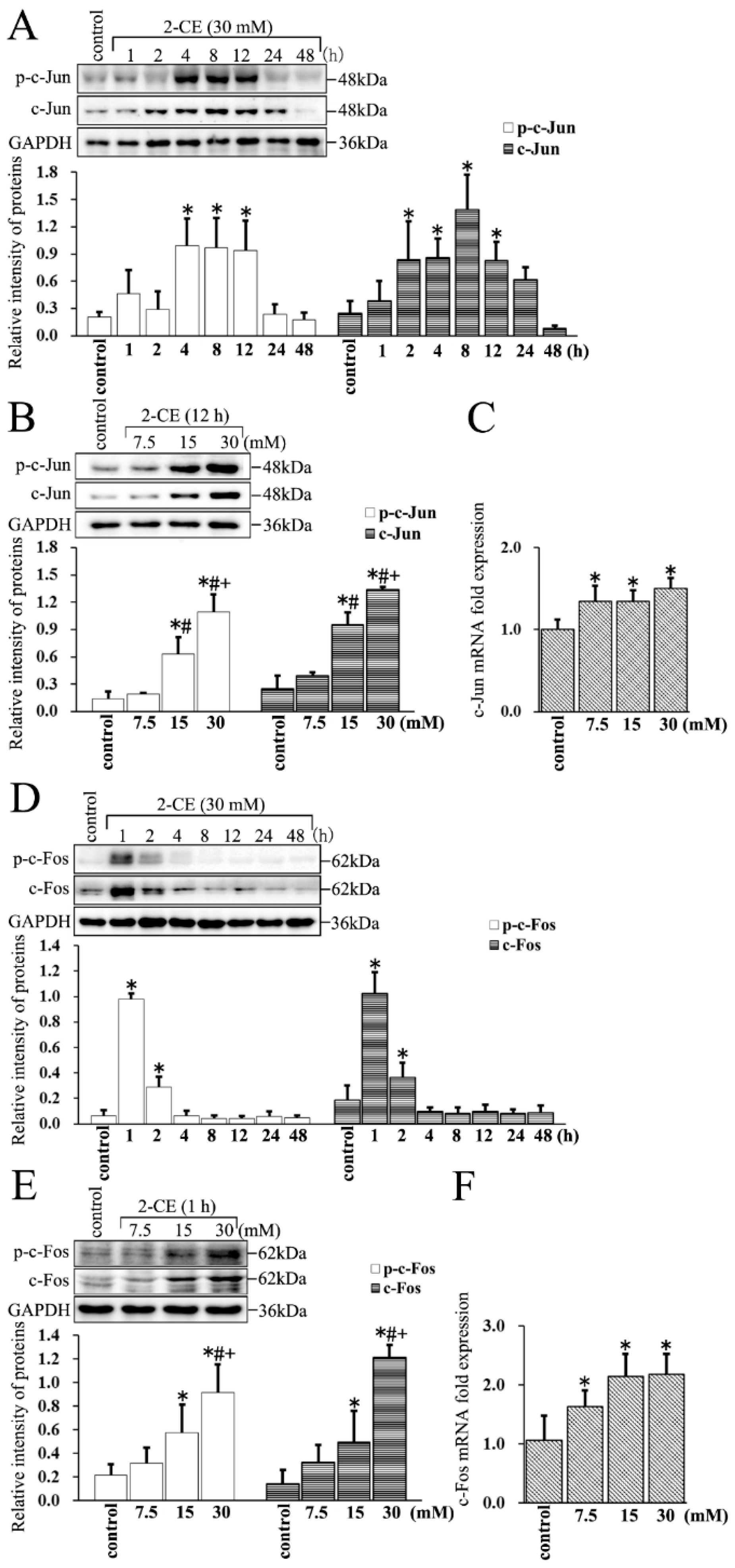 Cells 07 00096 g004