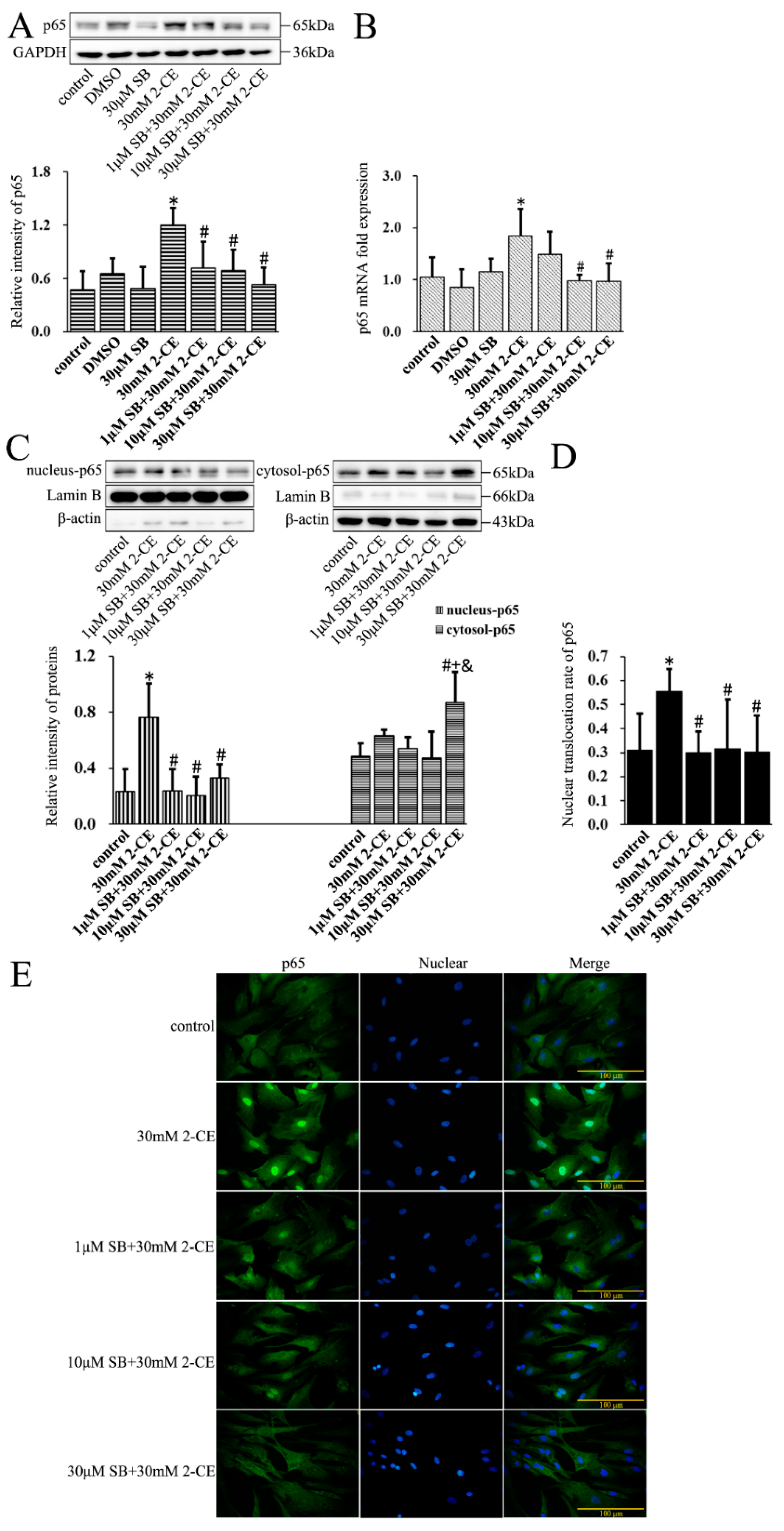 Cells 07 00096 g006