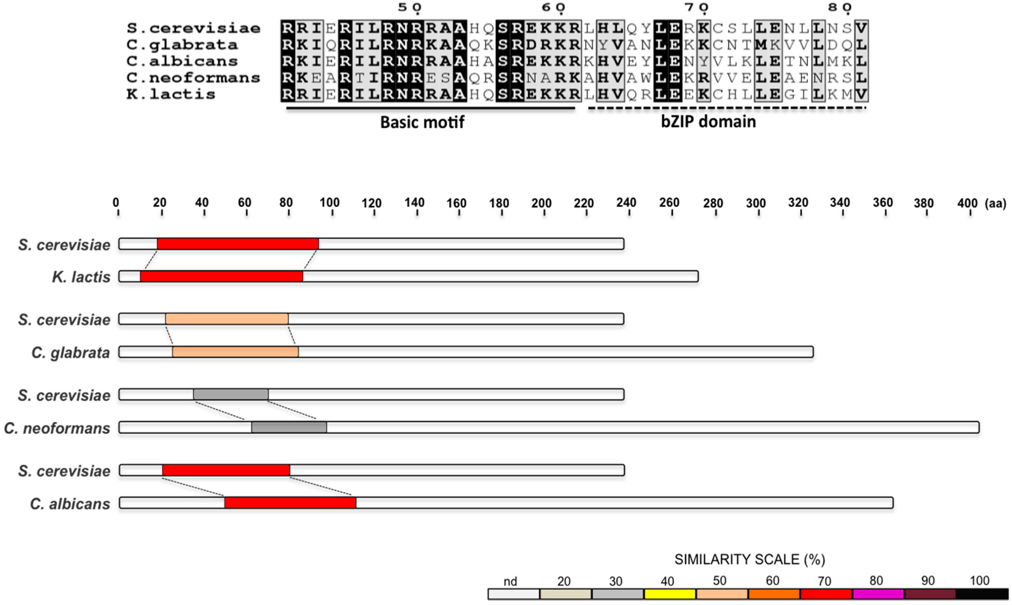 Cells 07 00106 g002