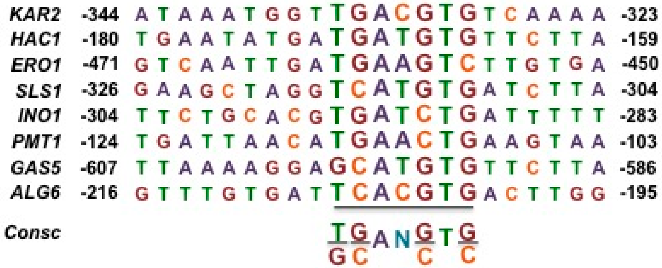 Cells 07 00106 g008