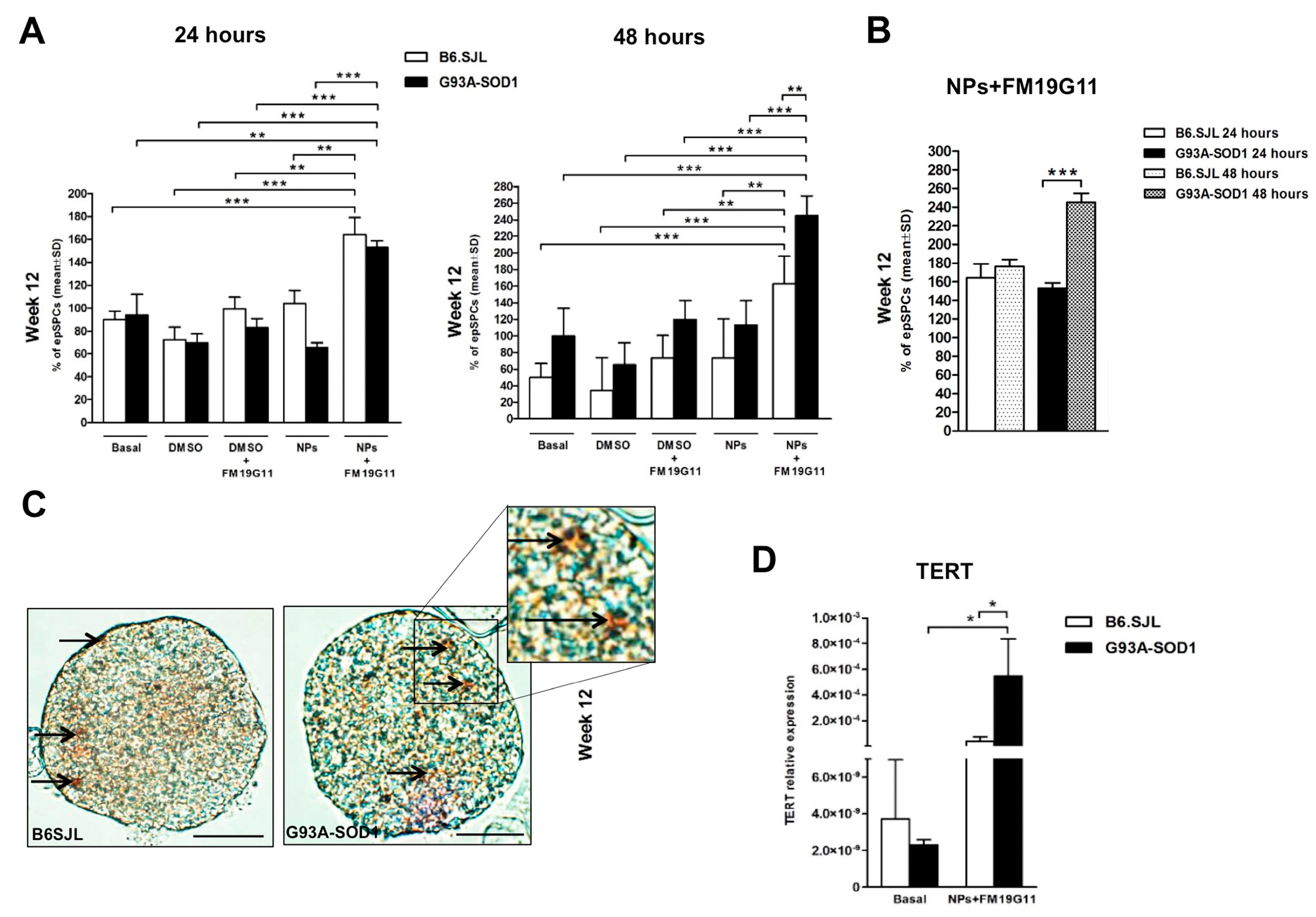 Cells 08 00279 g001 Cells 08 00279 g001