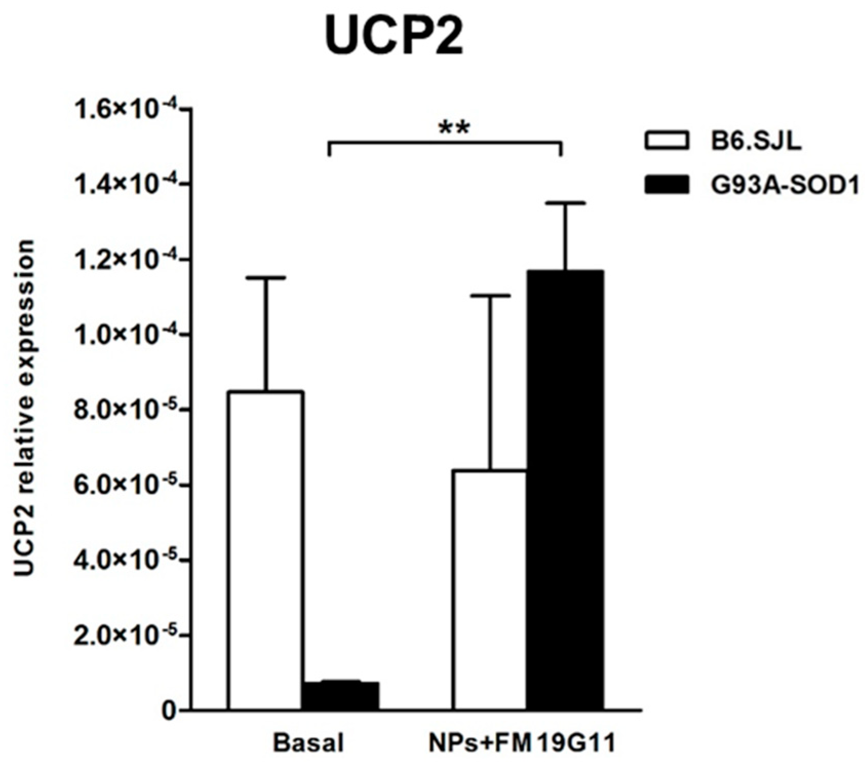 Cells 08 00279 g004 Cells 08 00279 g004