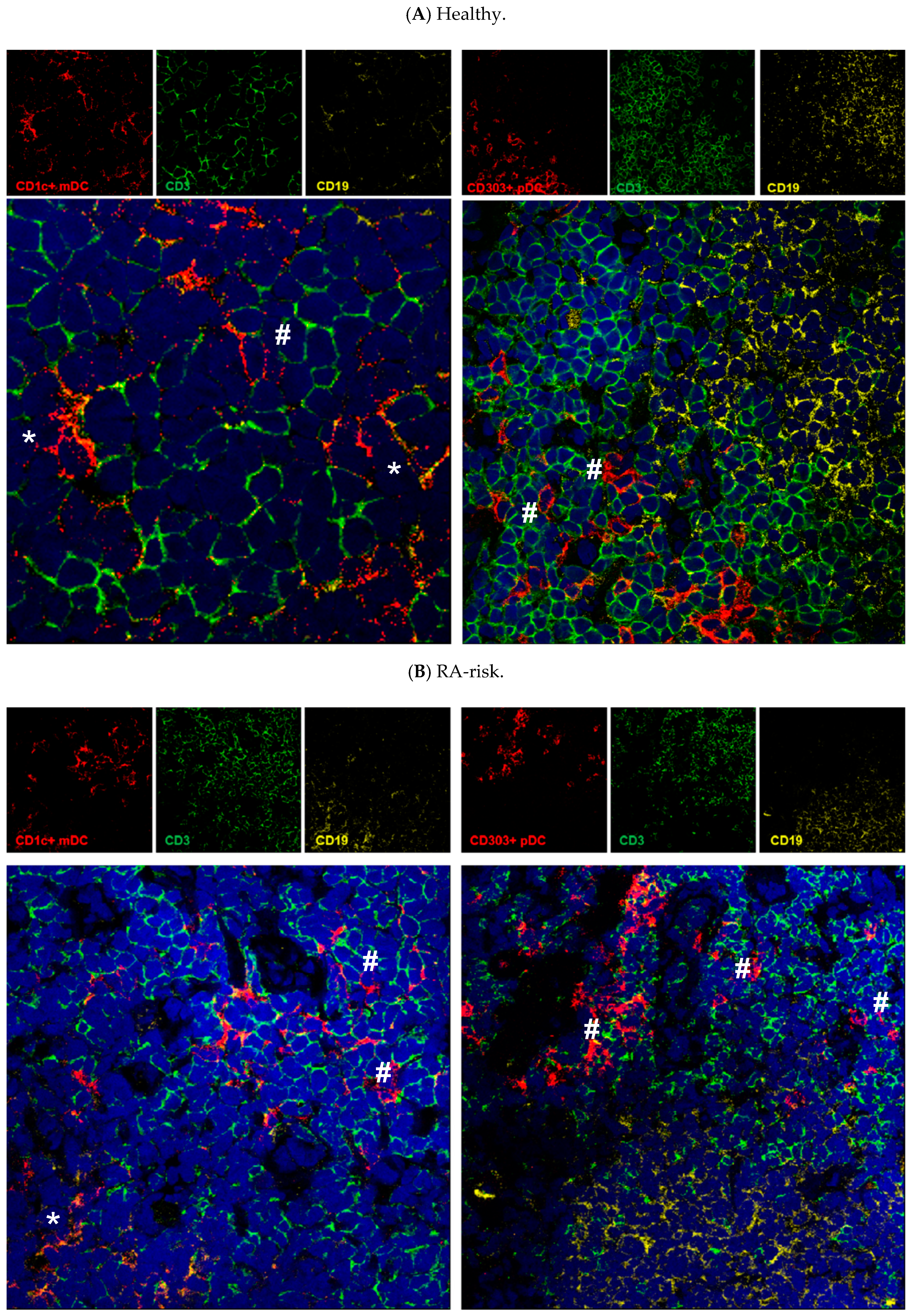 Cells 08 00756 g003a Cells 08 00756 g003a
