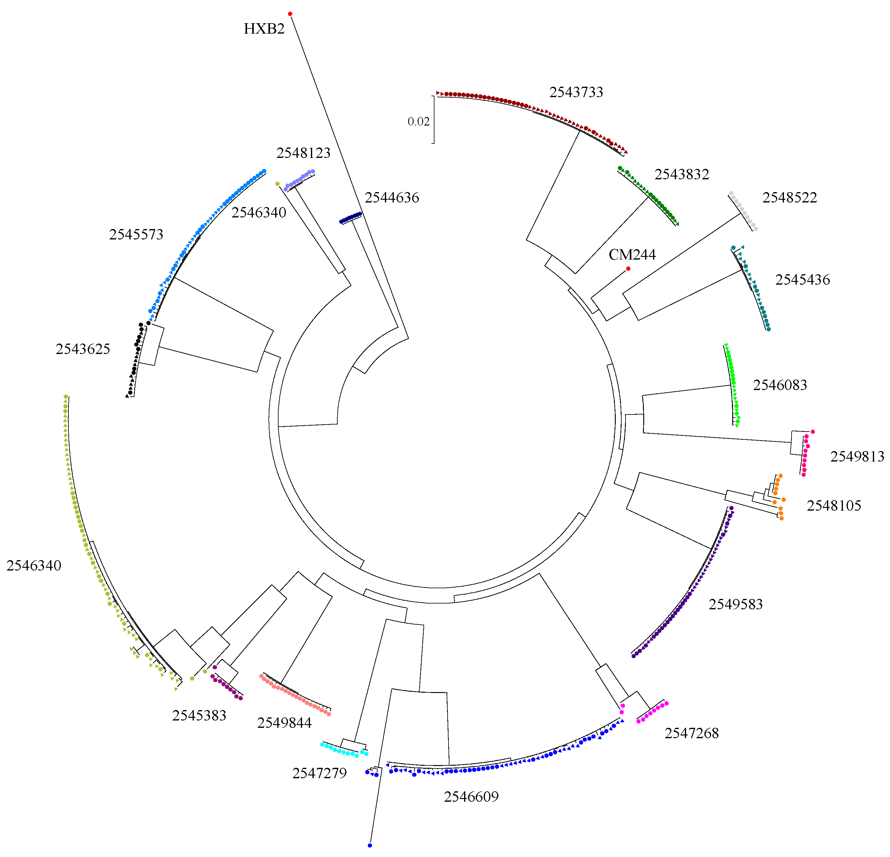 Cells 08 00902 g001 Cells 08 00902 g001