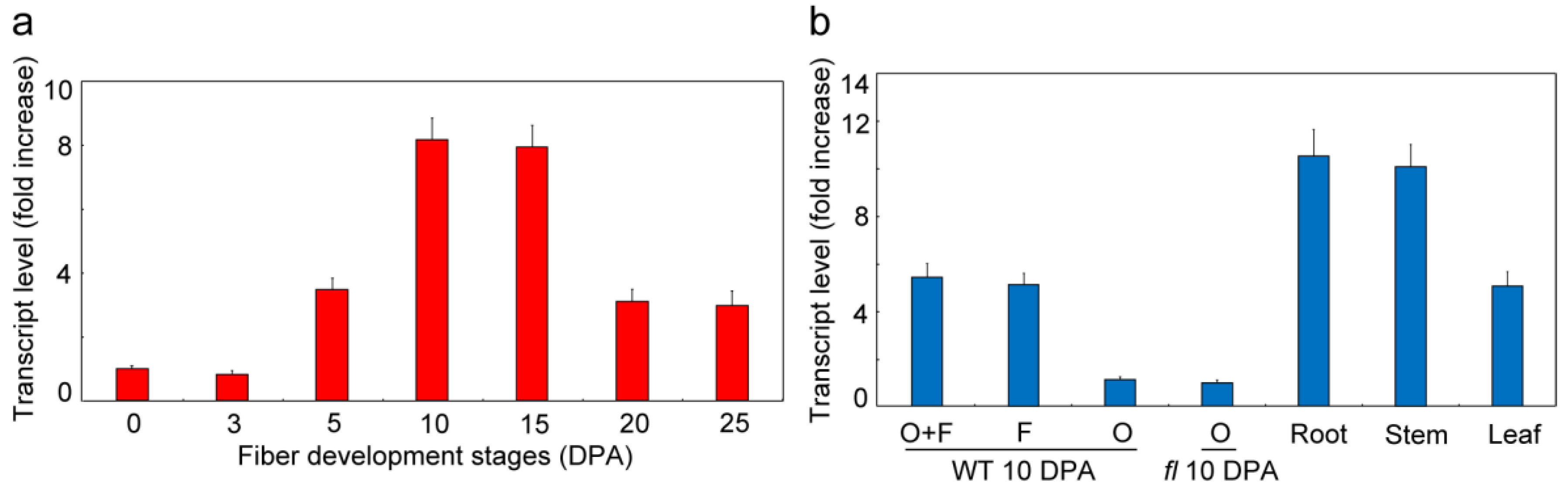 Cells 08 01039 g003 Cells 08 01039 g003