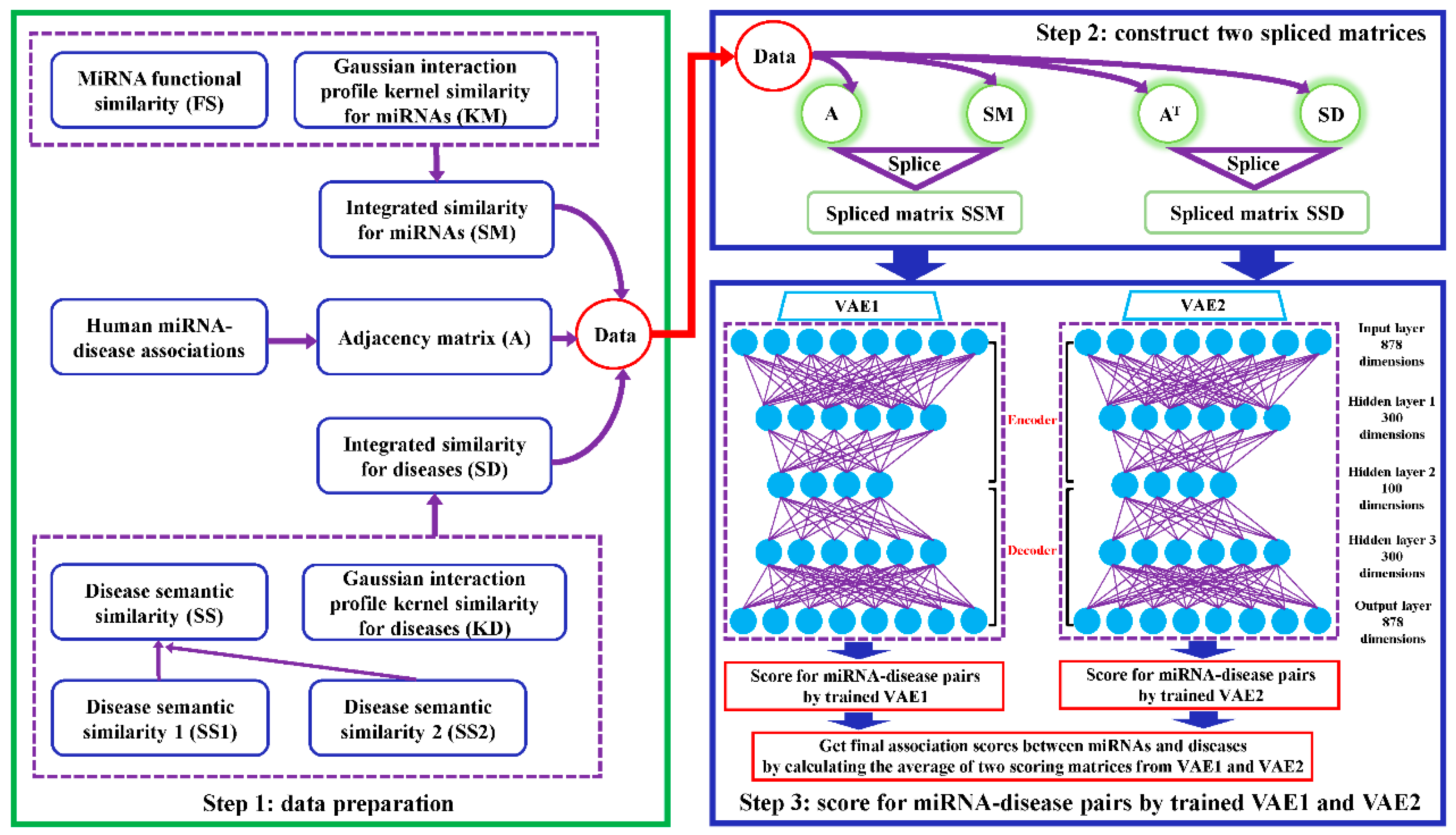 Cells 08 01040 g001 Cells 08 01040 g001