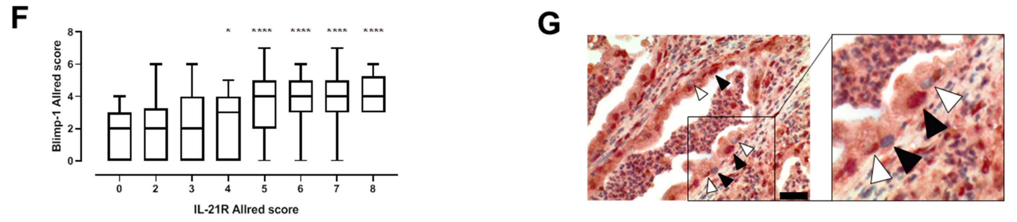 Cells 08 01104 g001b Cells 08 01104 g001b