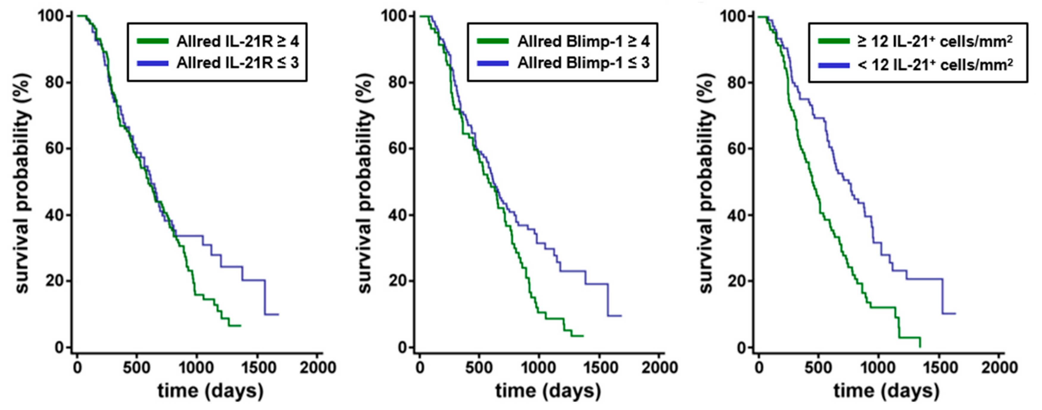 Cells 08 01104 g002 Cells 08 01104 g002