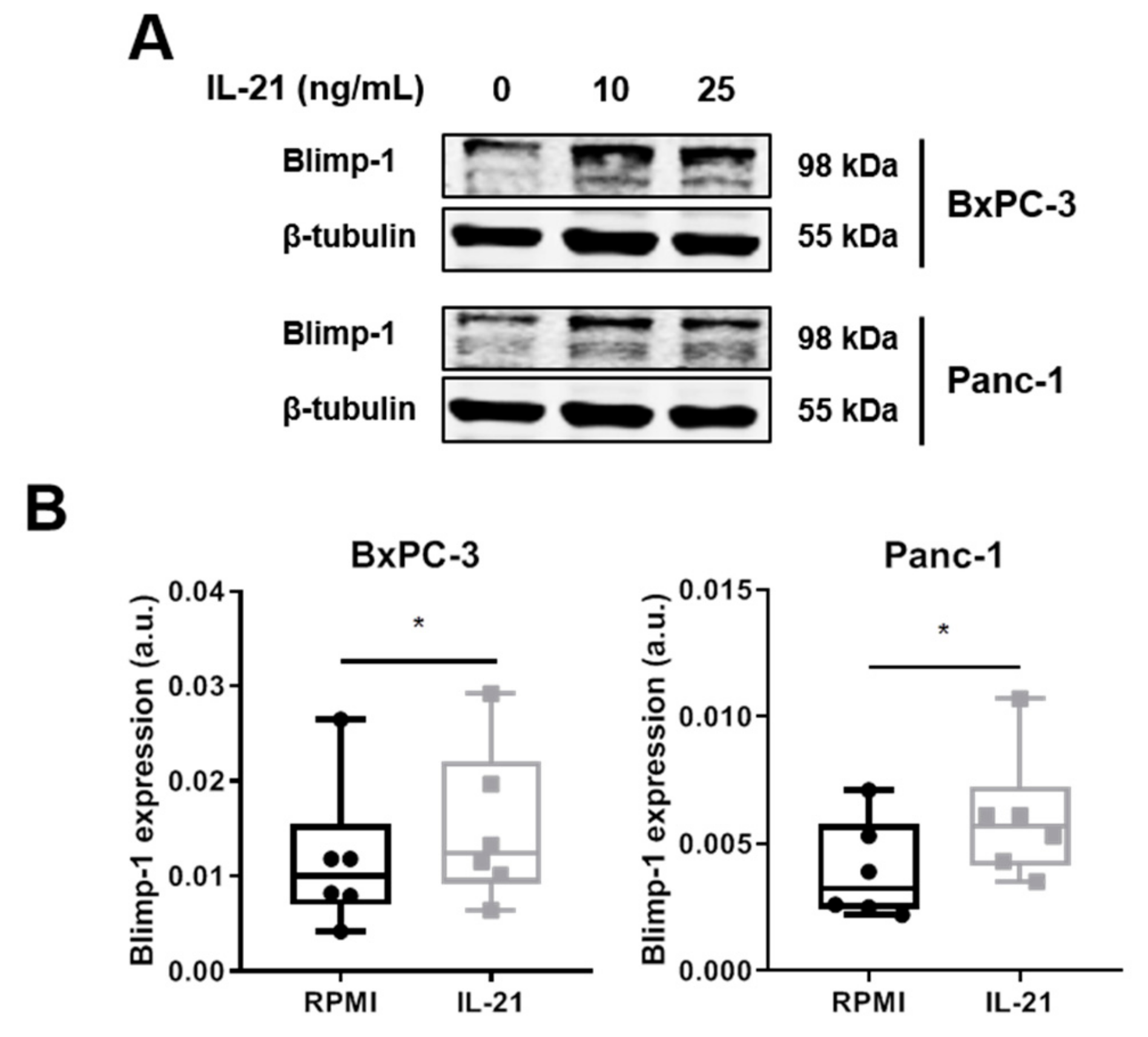 Cells 08 01104 g005a Cells 08 01104 g005a