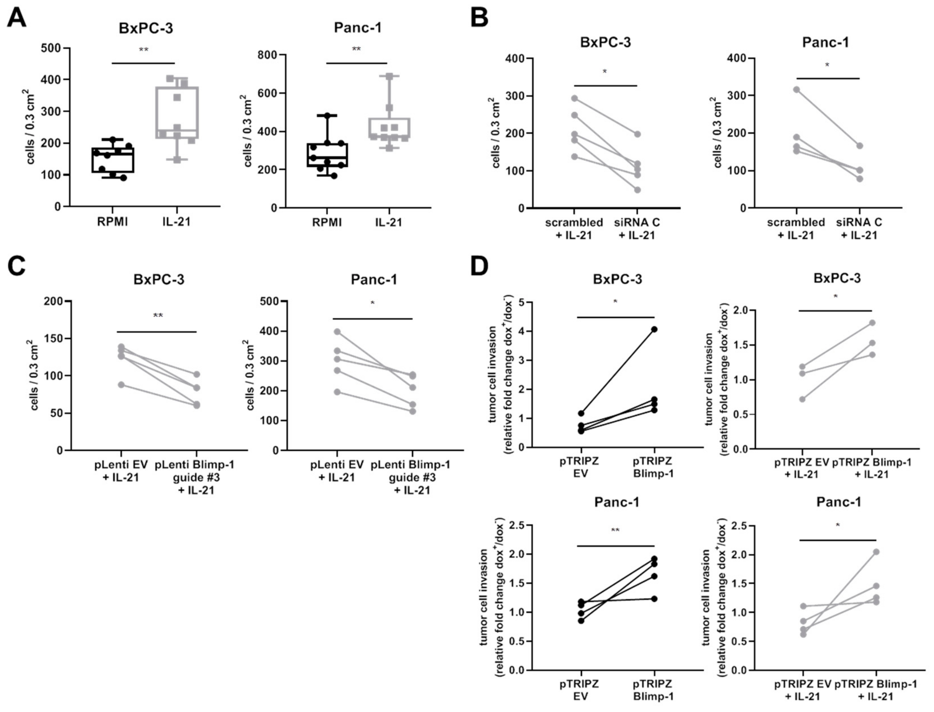 Cells 08 01104 g007 Cells 08 01104 g007
