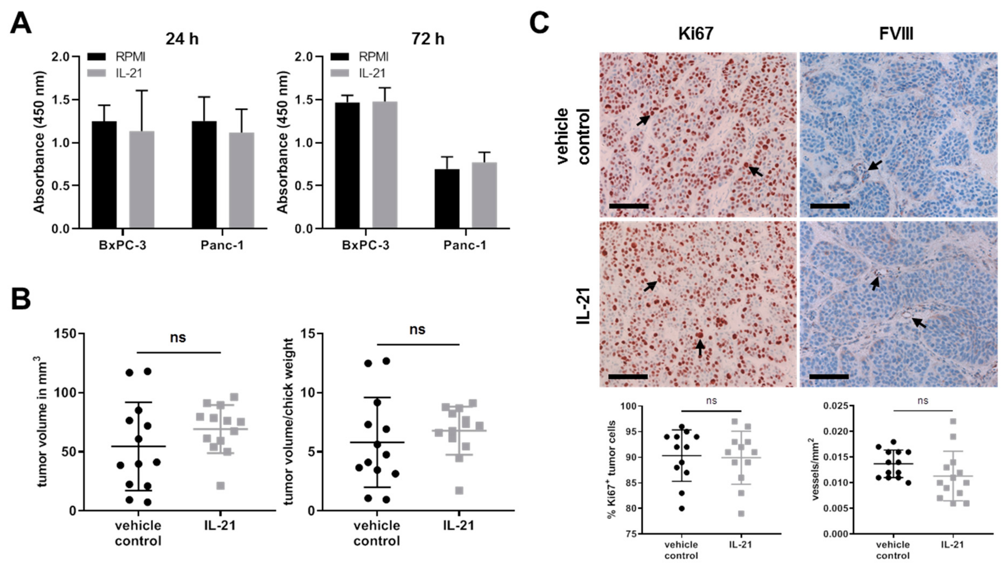 Cells 08 01104 g008 Cells 08 01104 g008