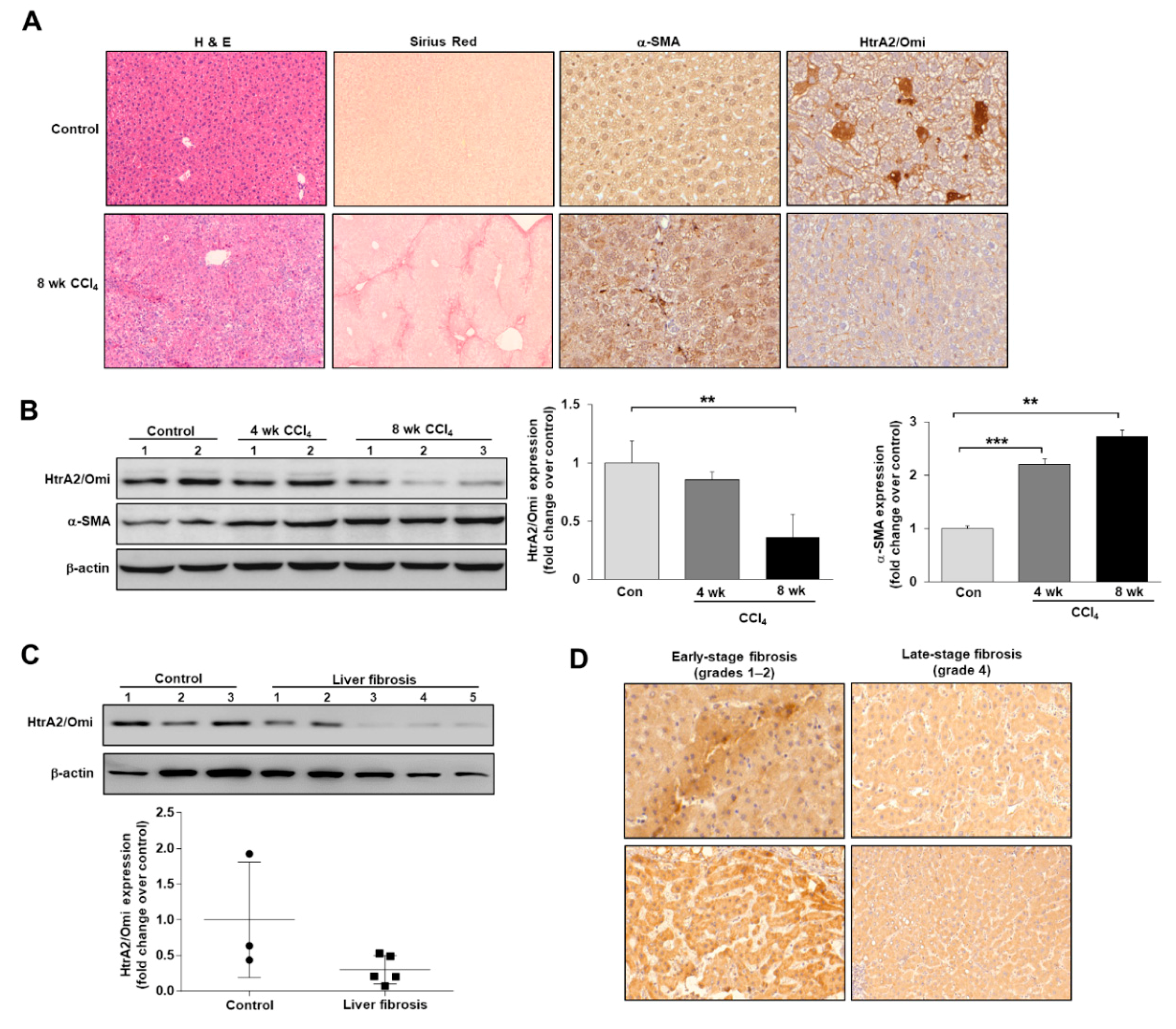 Cells 08 01119 g002 Cells 08 01119 g002