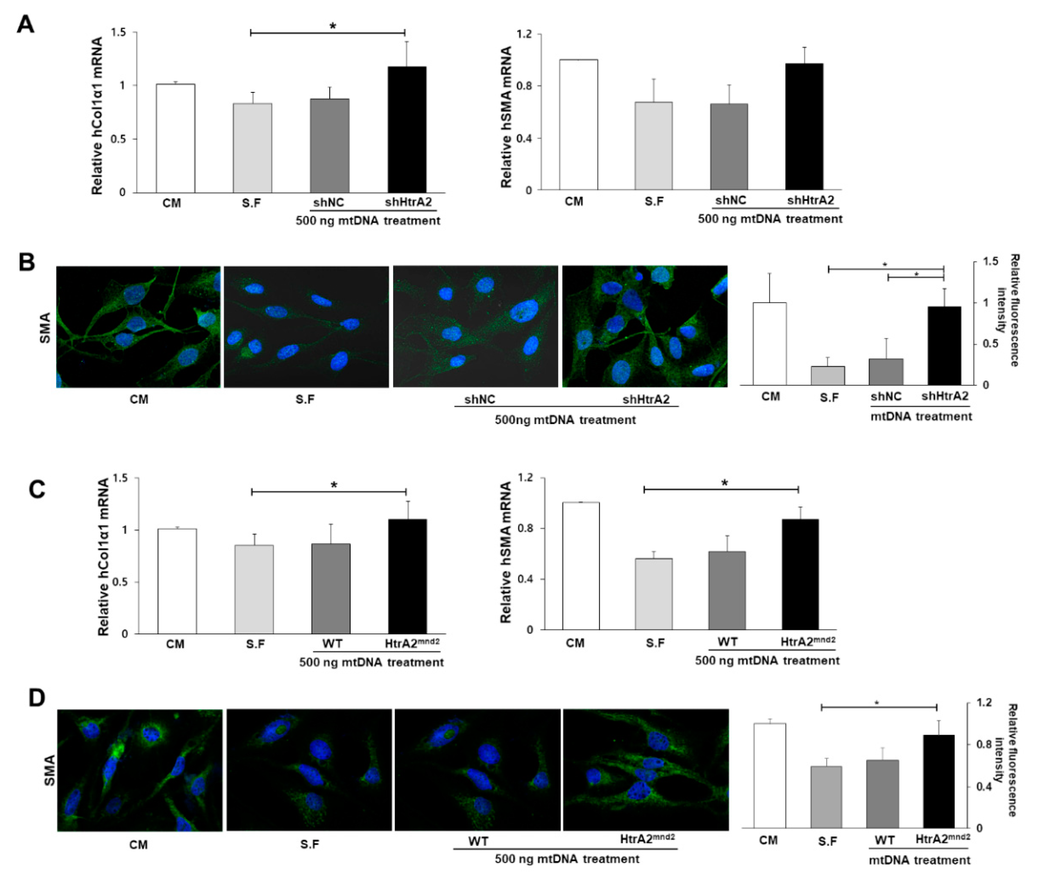 Cells 08 01119 g005 Cells 08 01119 g005