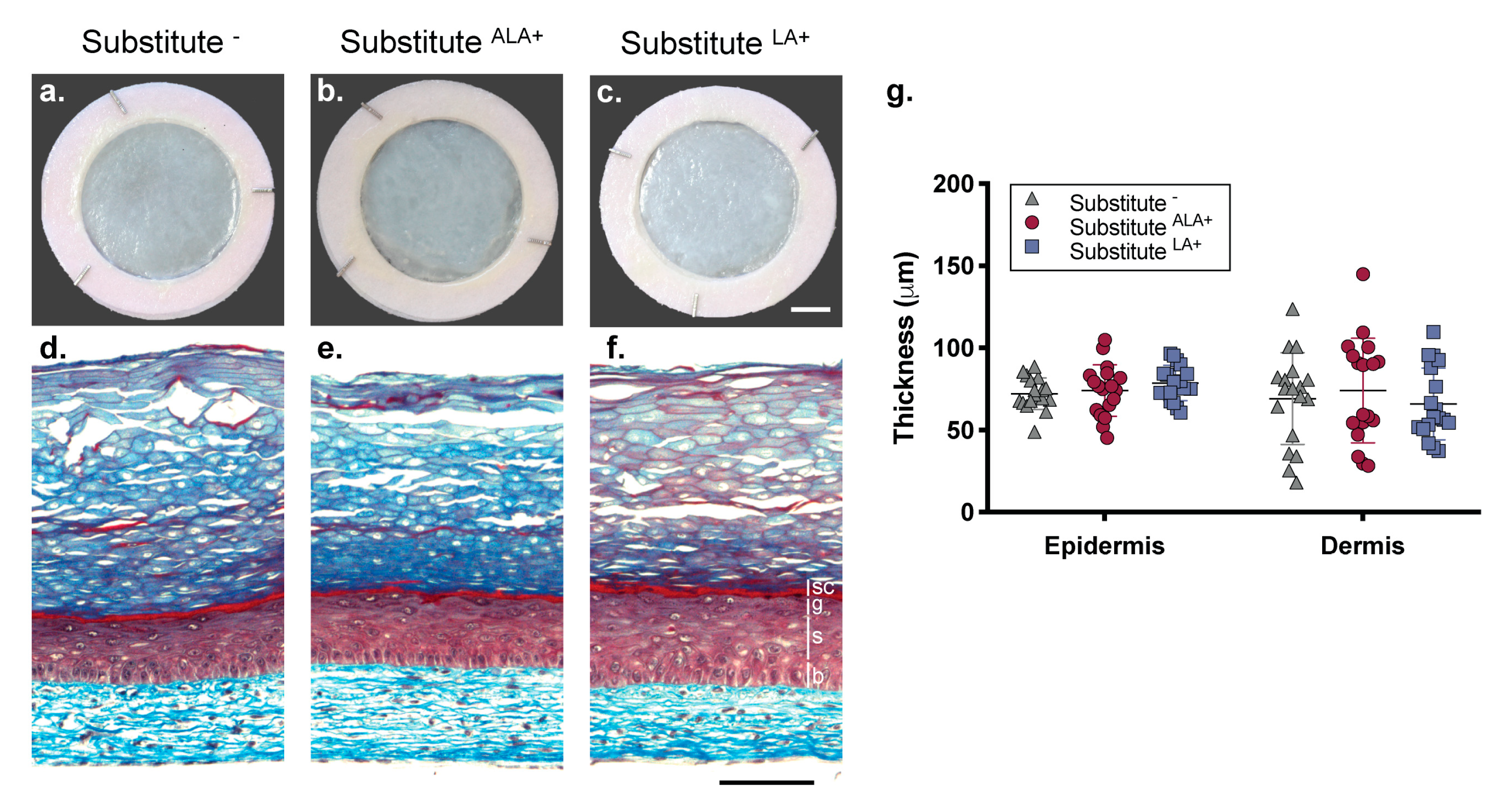 Cells 08 01142 g001 Cells 08 01142 g001