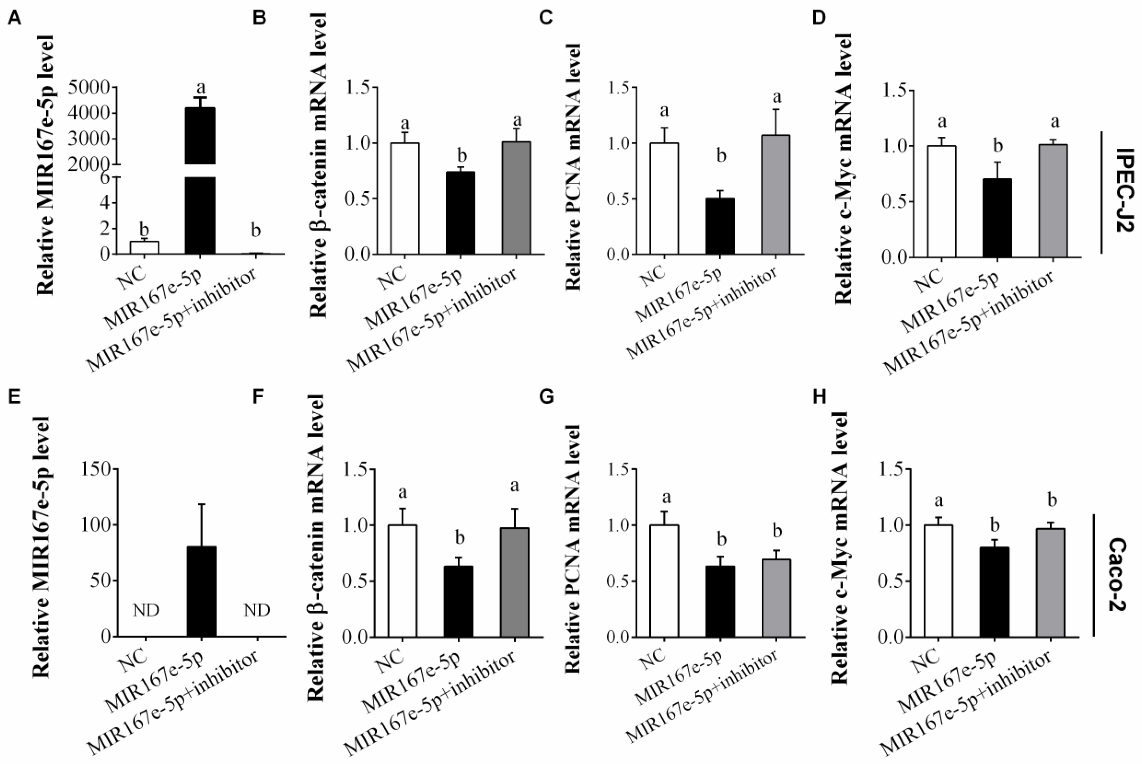 Cells 08 01385 g003 Cells 08 01385 g003