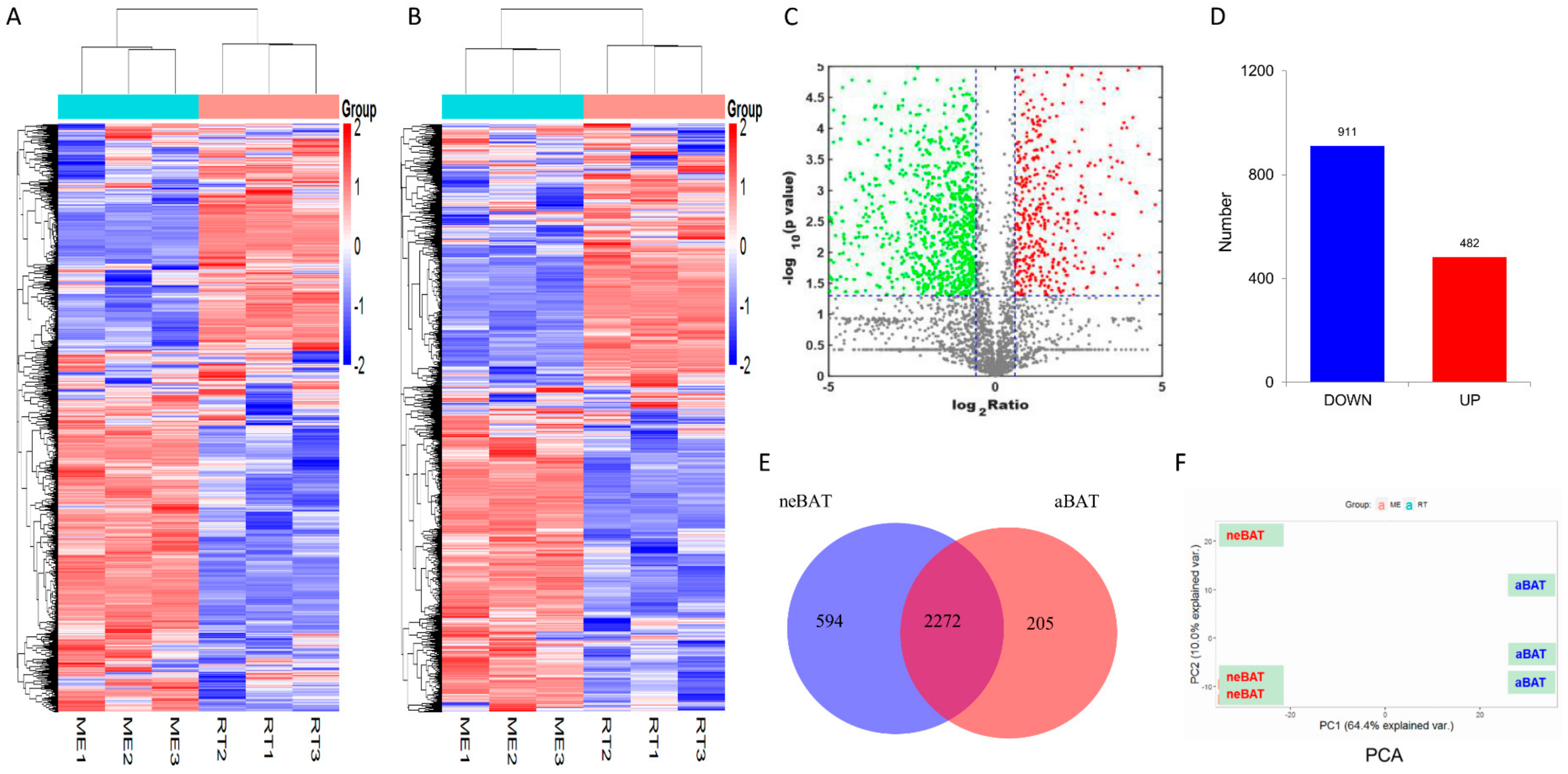 Cells 09 00201 g004a