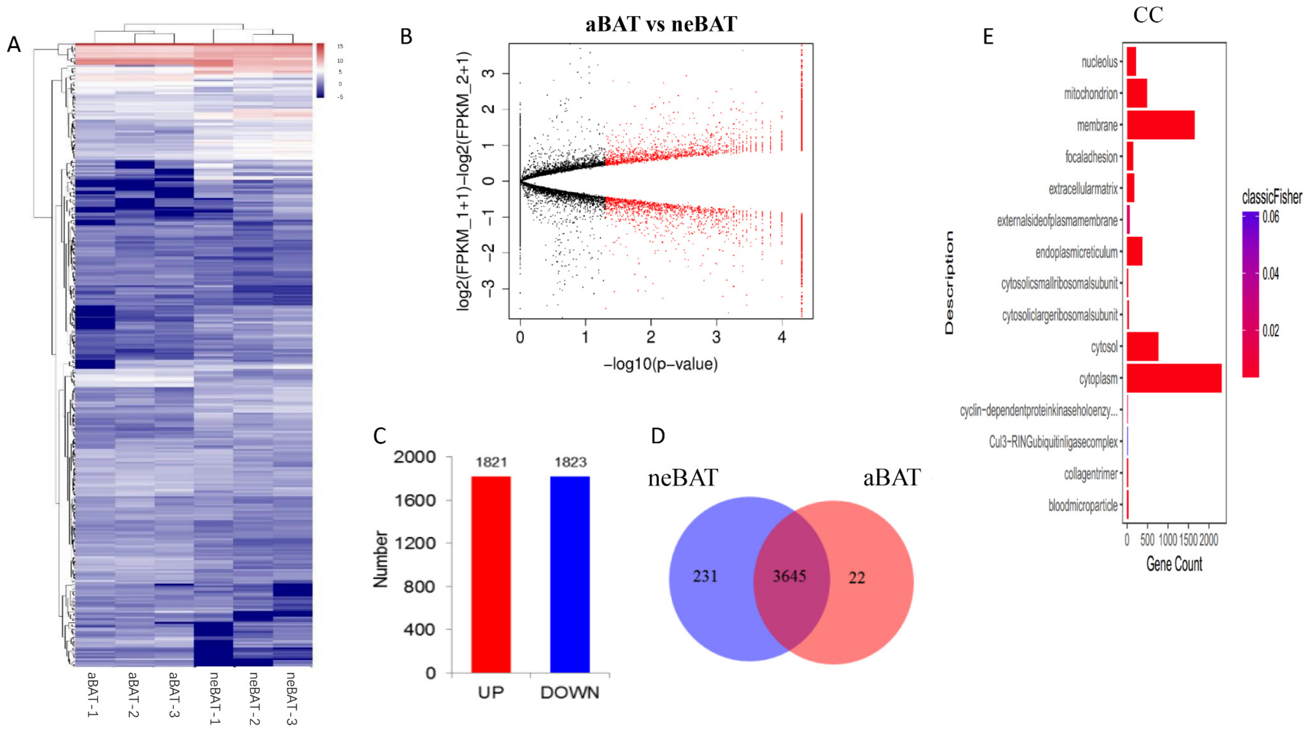 Cells 09 00201 g005a