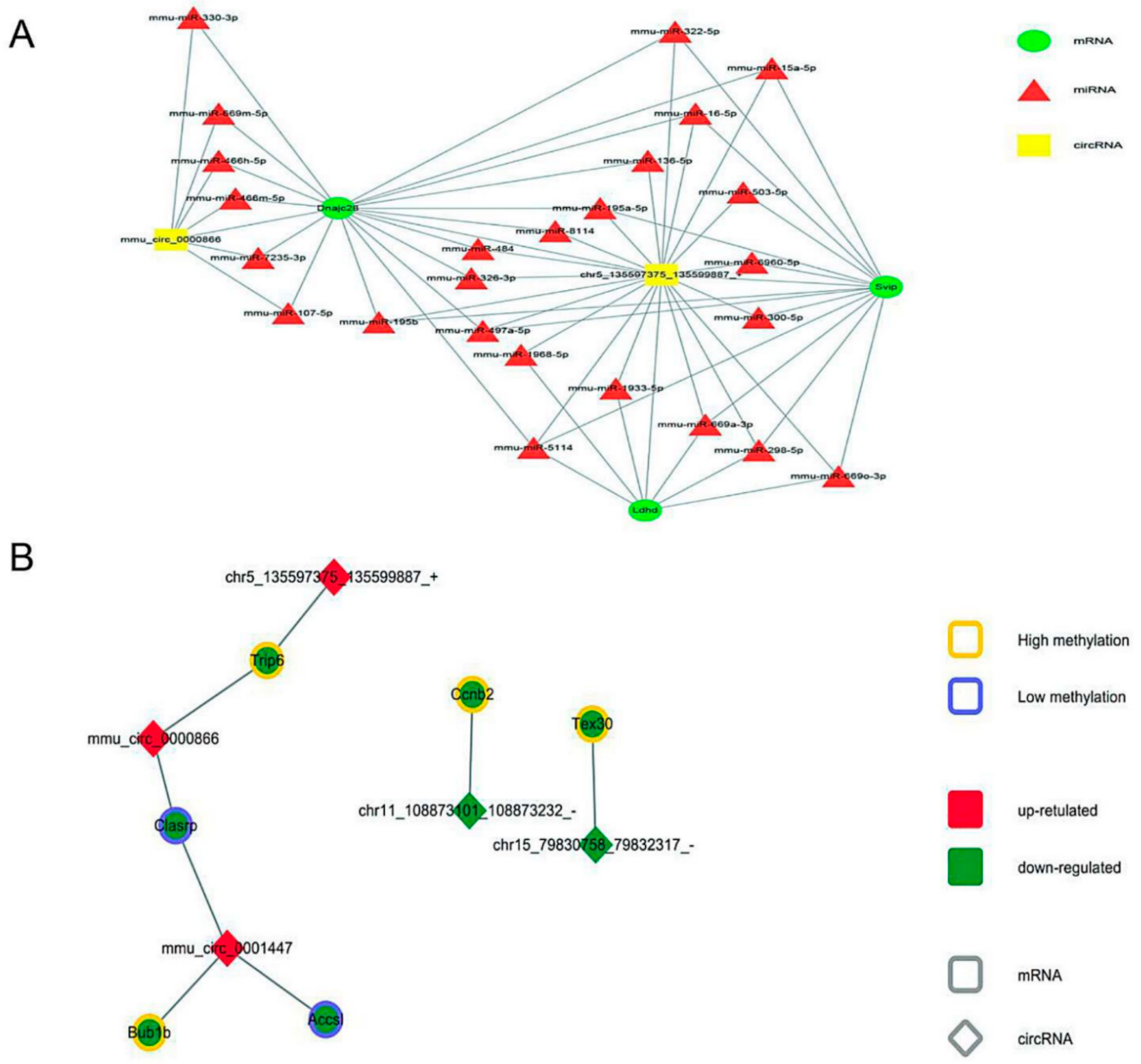 Cells 09 00201 g008a