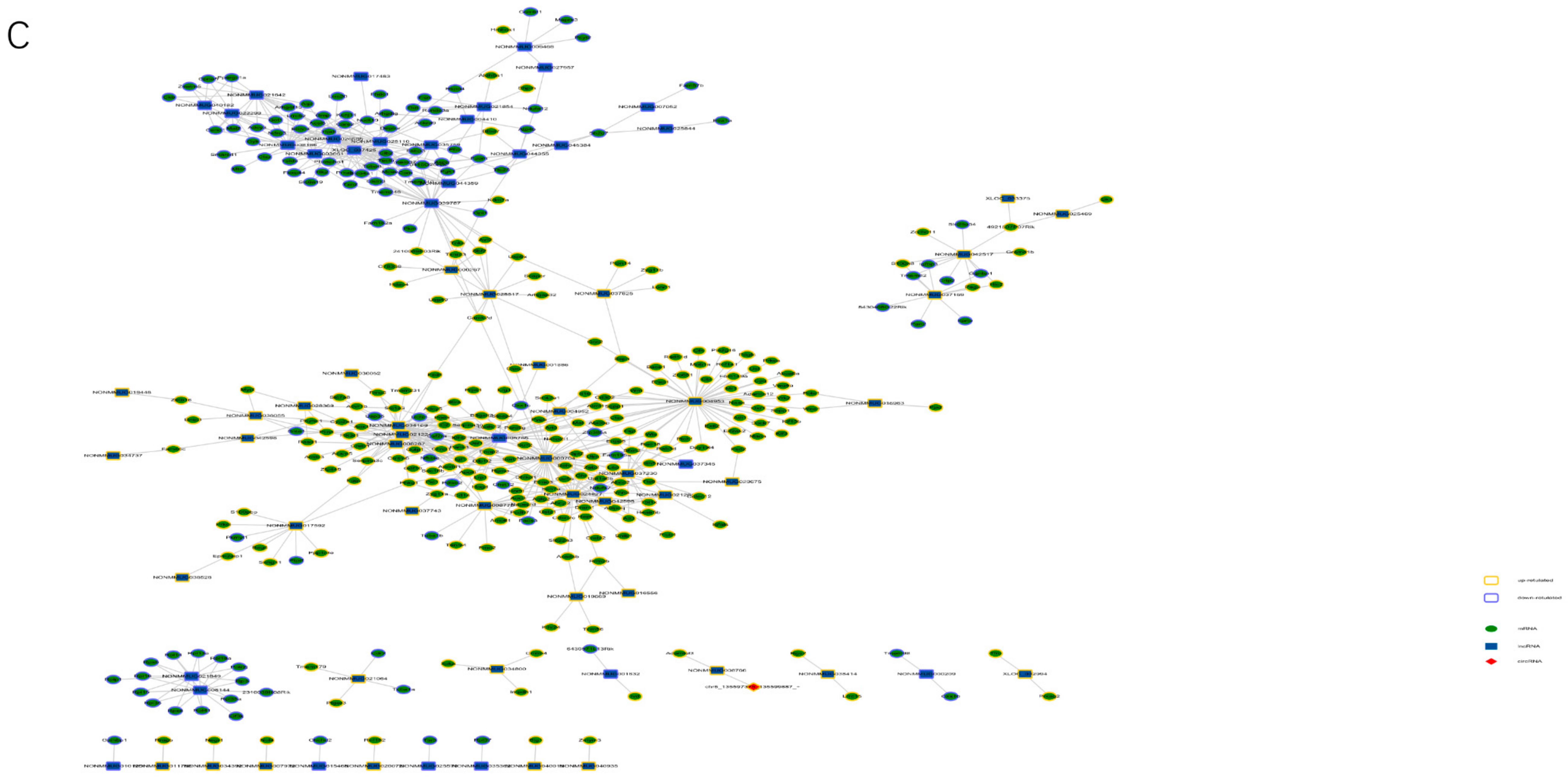 Cells 09 00201 g008b