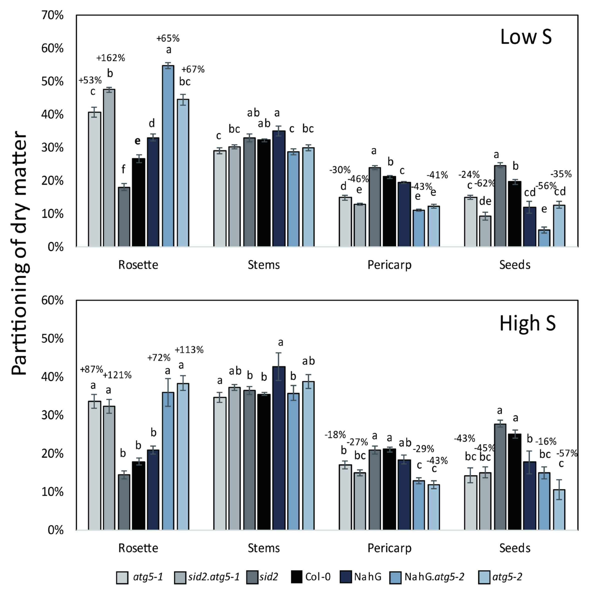 Cells 09 00332 g002 Cells 09 00332 g002