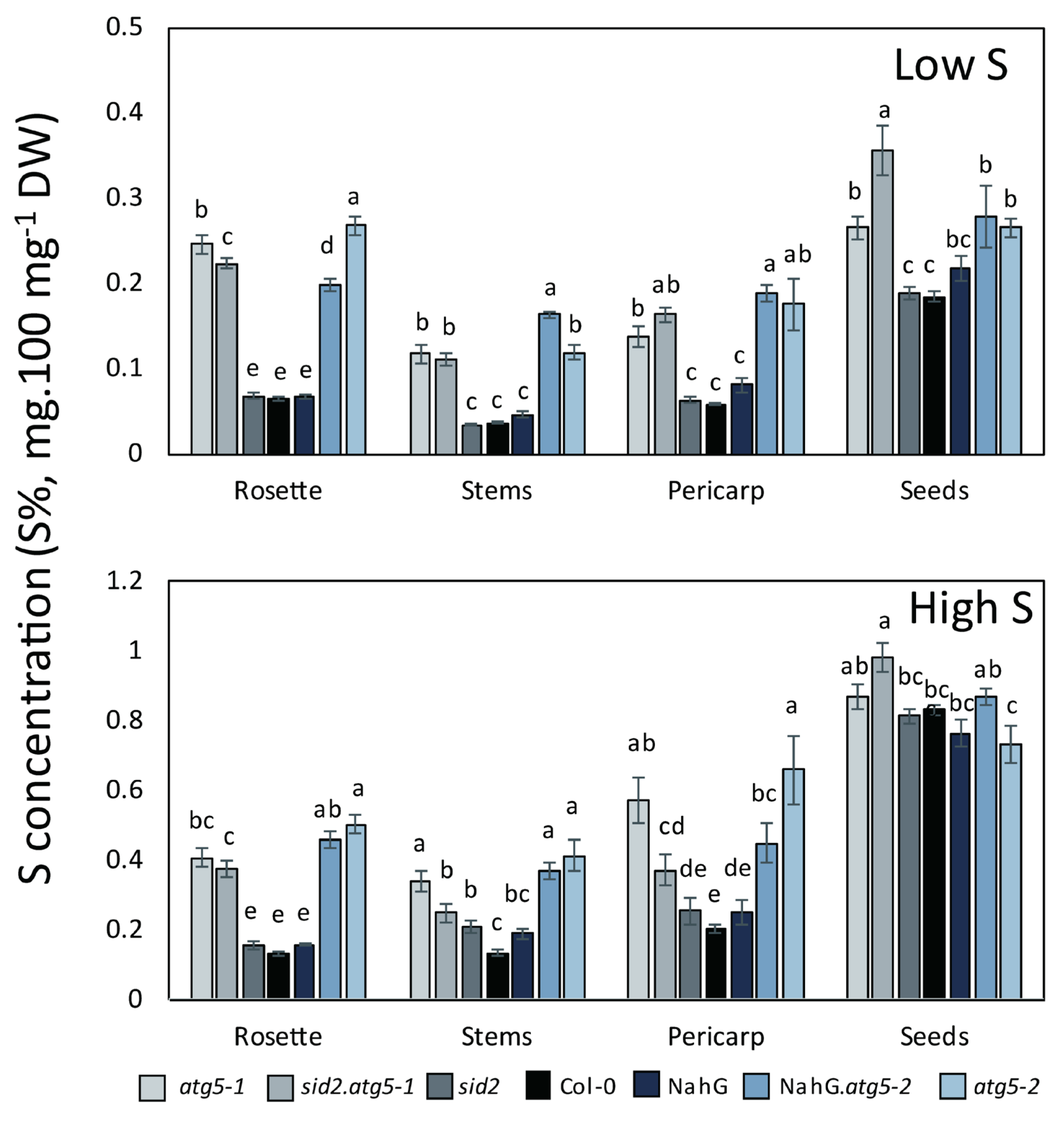 Cells 09 00332 g003 Cells 09 00332 g003