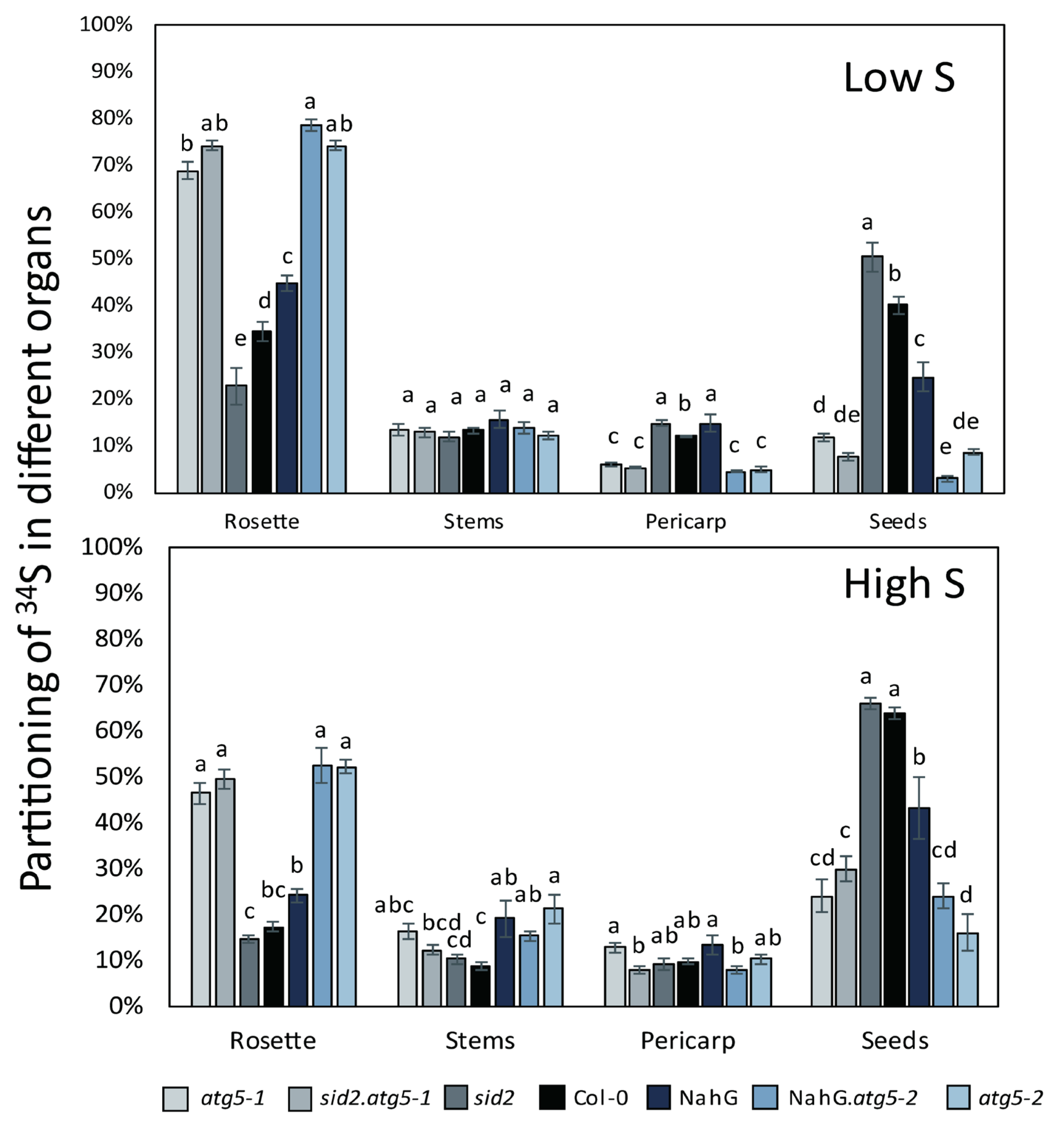 Cells 09 00332 g004 Cells 09 00332 g004