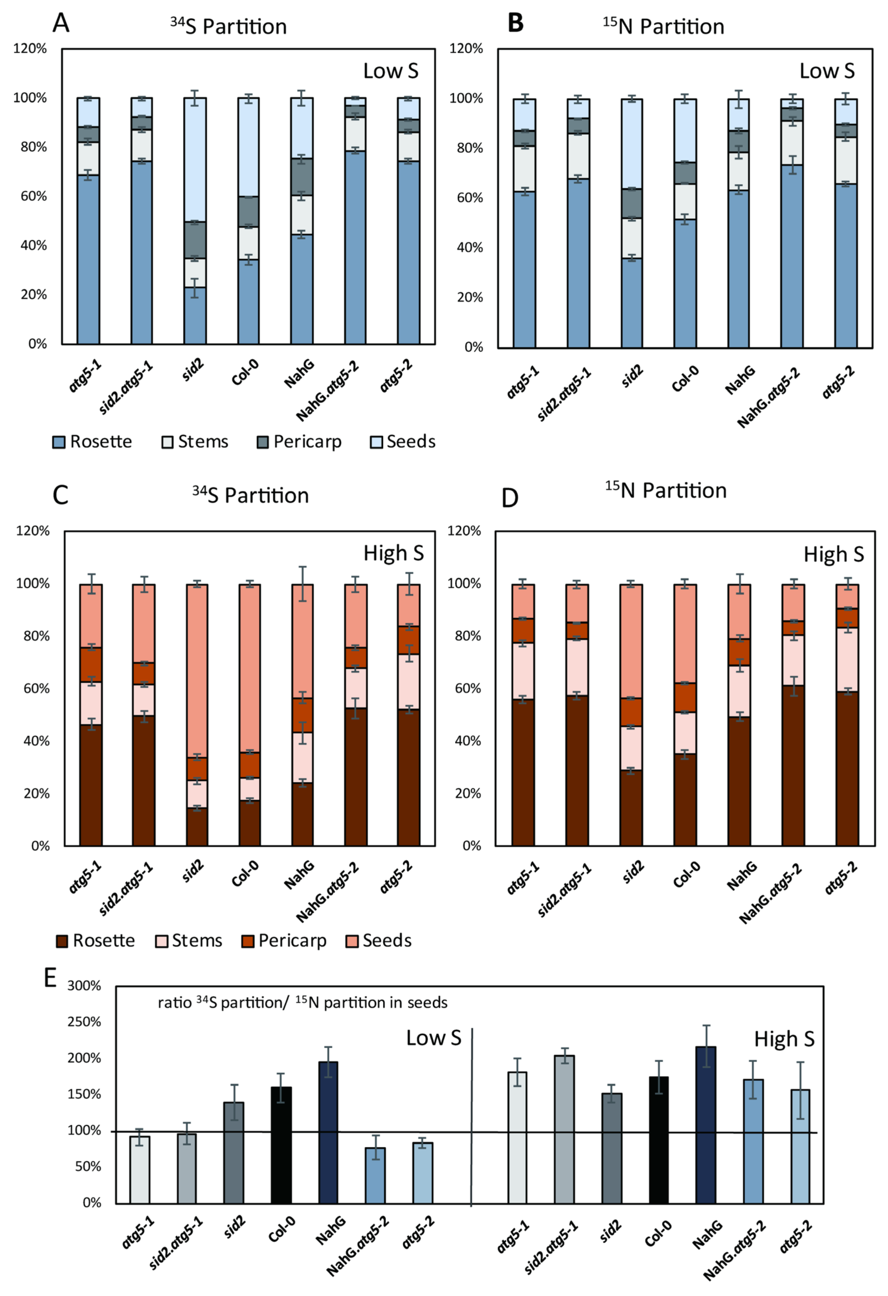 Cells 09 00332 g005 Cells 09 00332 g005