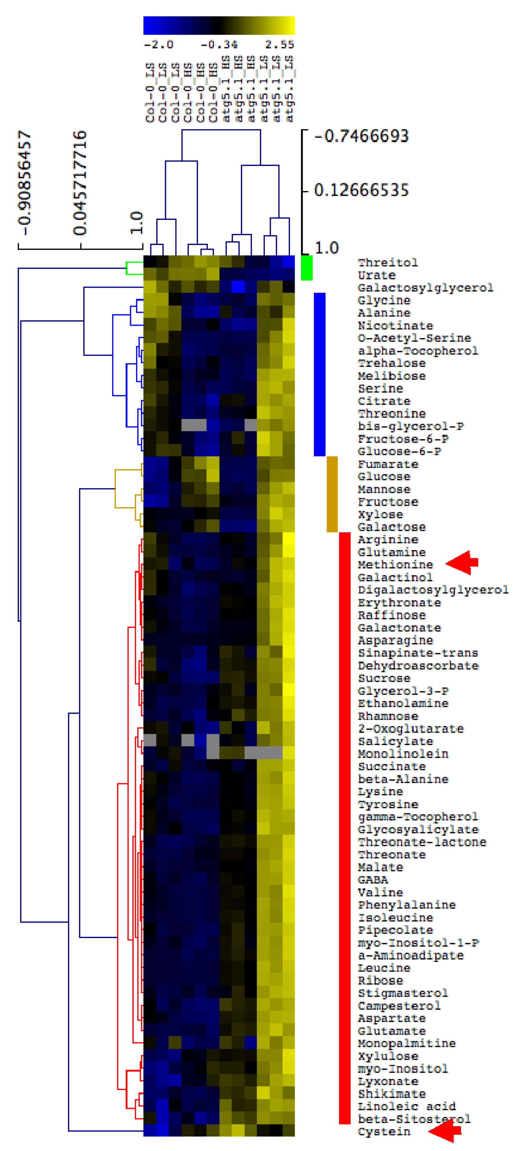 Cells 09 00332 g006 Cells 09 00332 g006
