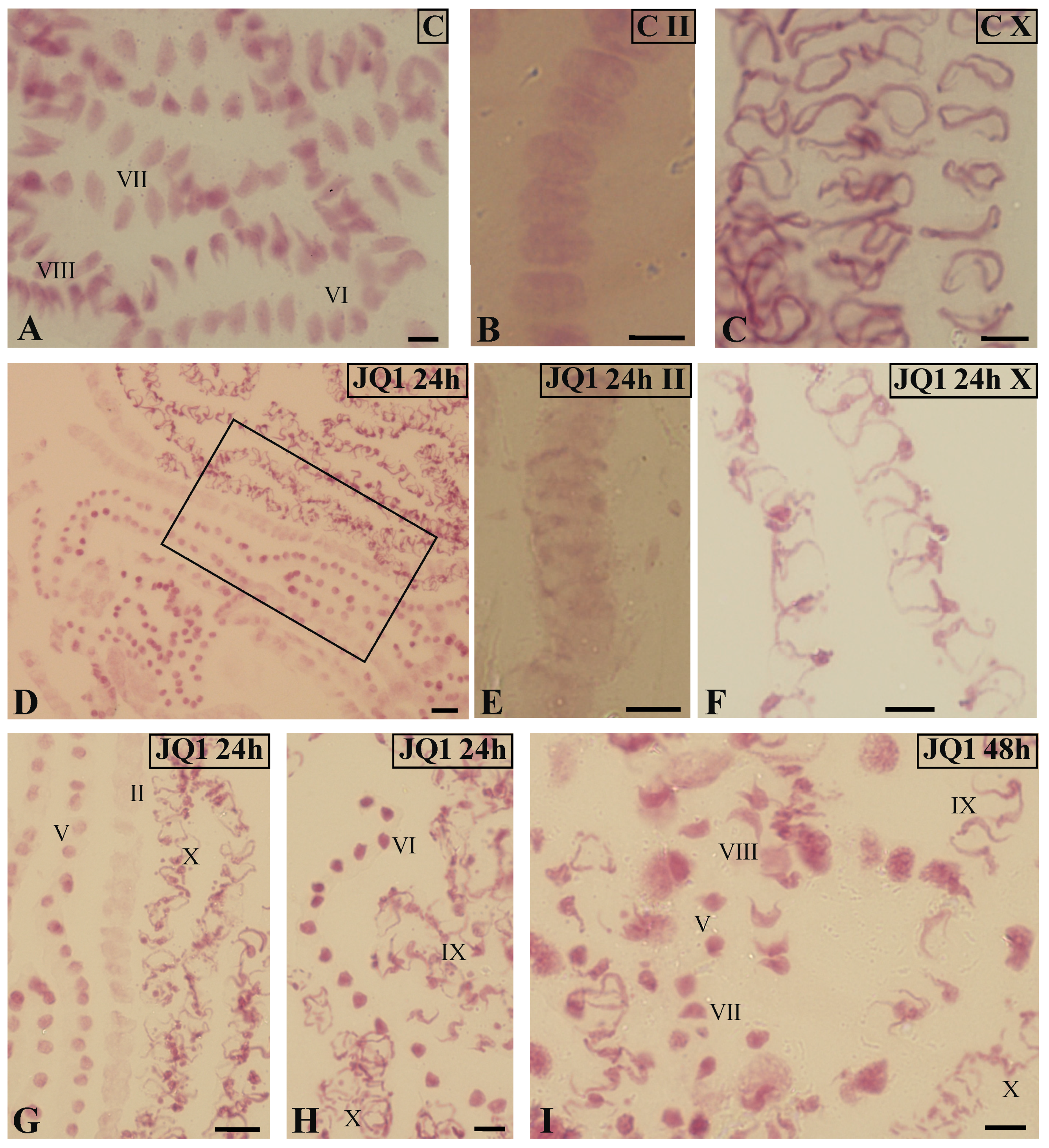 Cells 09 01352 g002 Cells 09 01352 g002