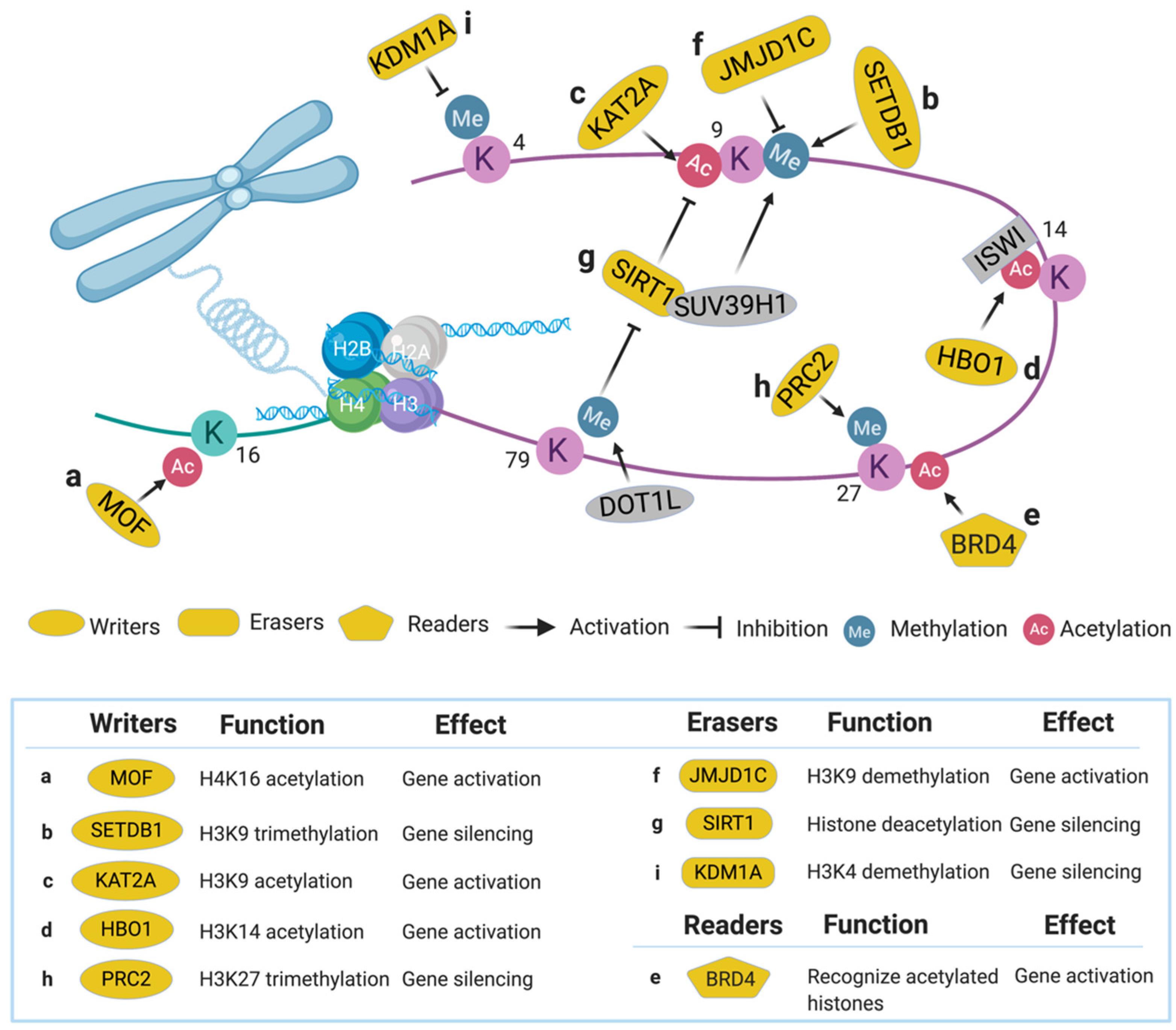Cells 09 01888 g002 Cells 09 01888 g002