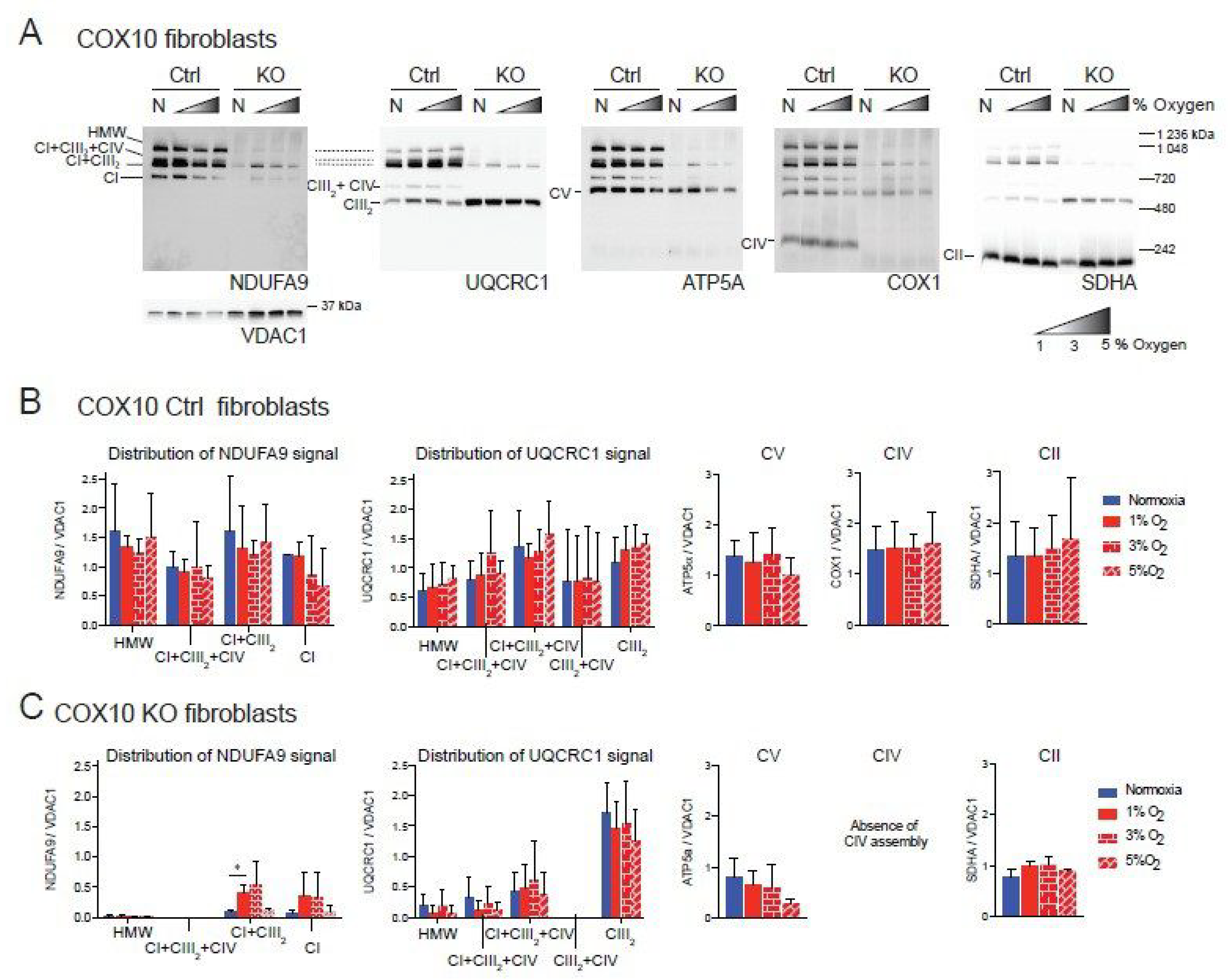 Cells 09 02197 g002 Cells 09 02197 g002