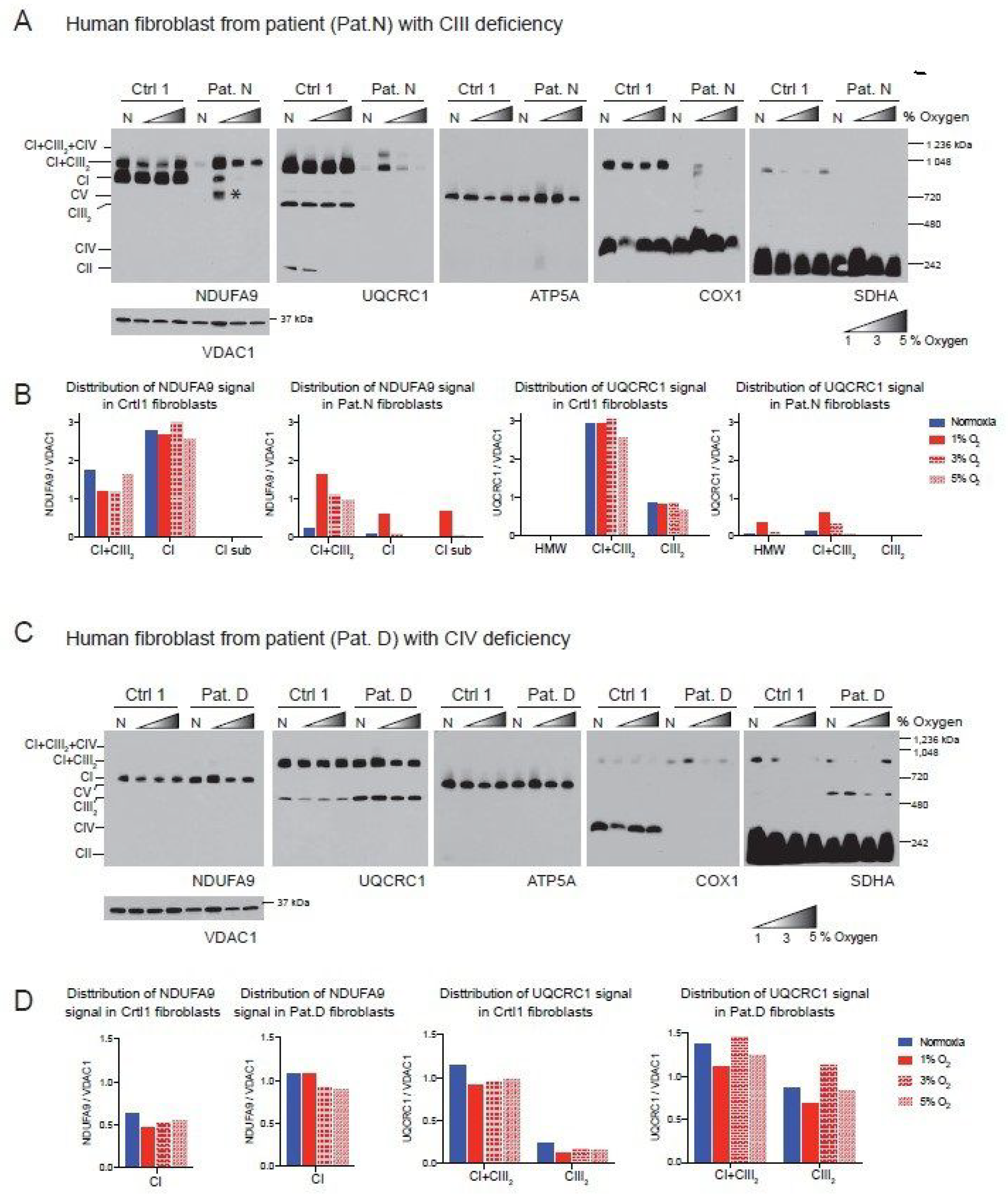 Cells 09 02197 g003 Cells 09 02197 g003
