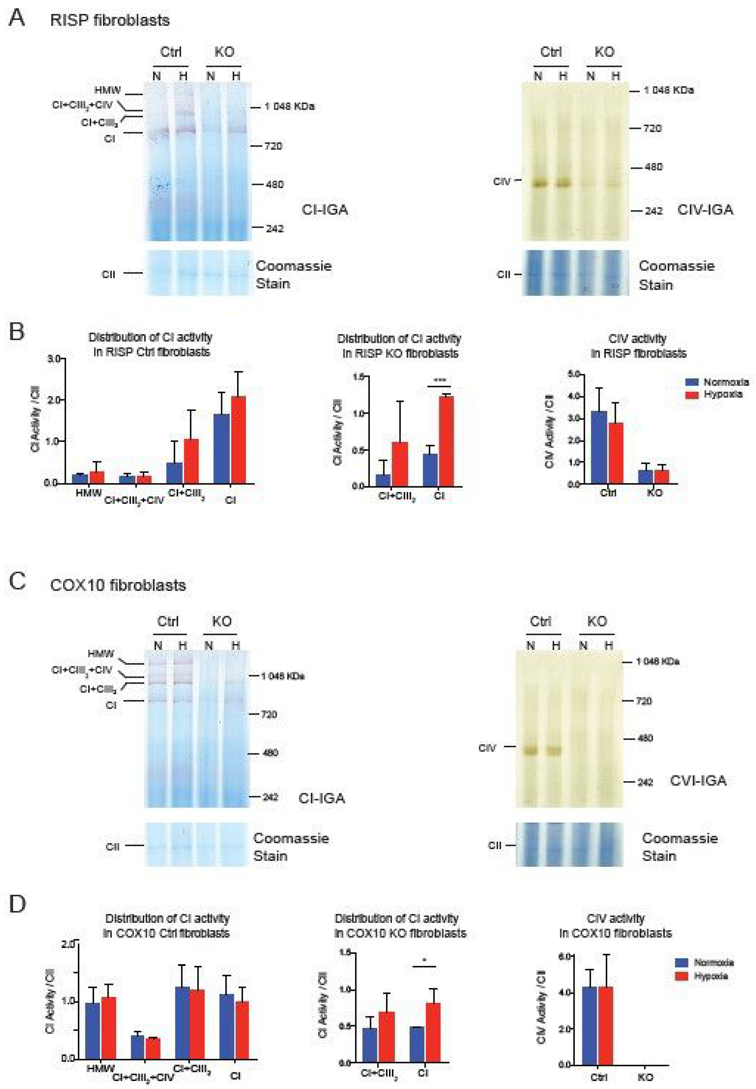 Cells 09 02197 g005 Cells 09 02197 g005