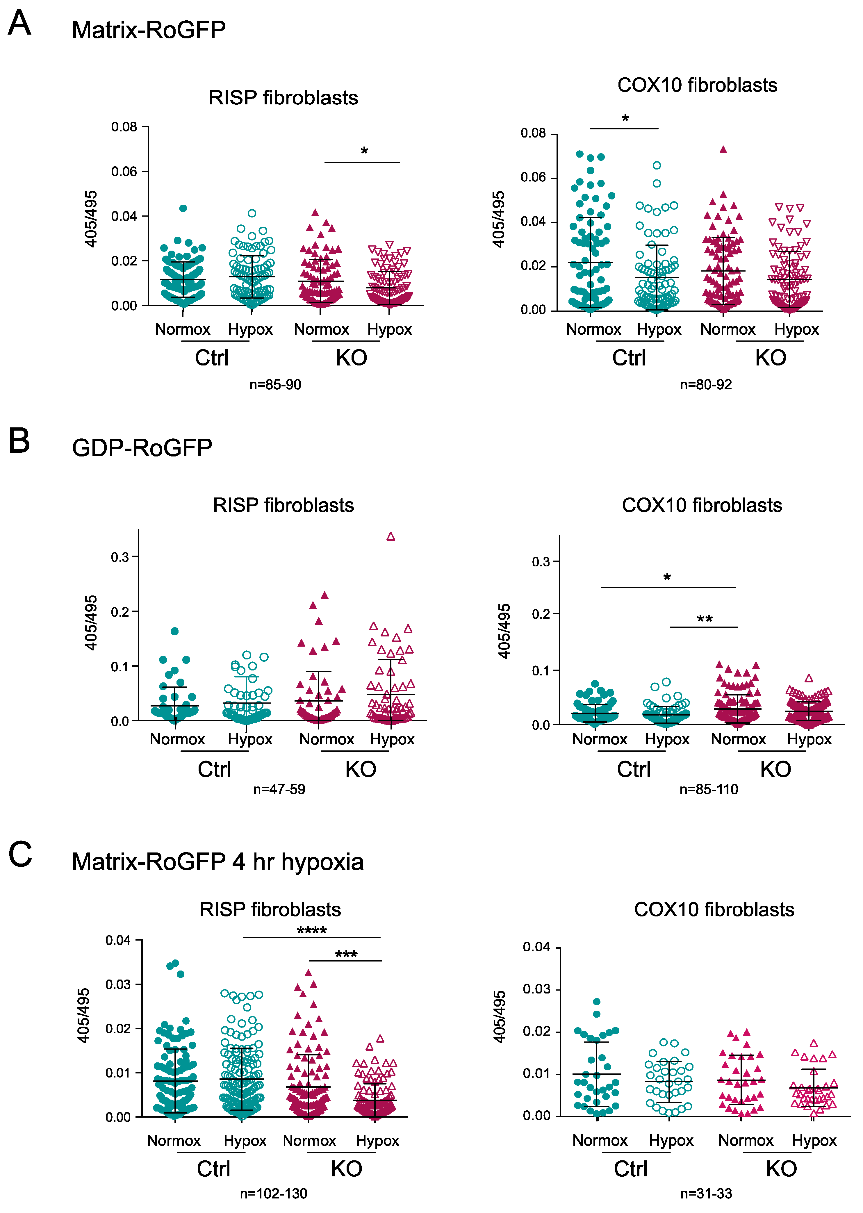 Cells 09 02197 g008 Cells 09 02197 g008