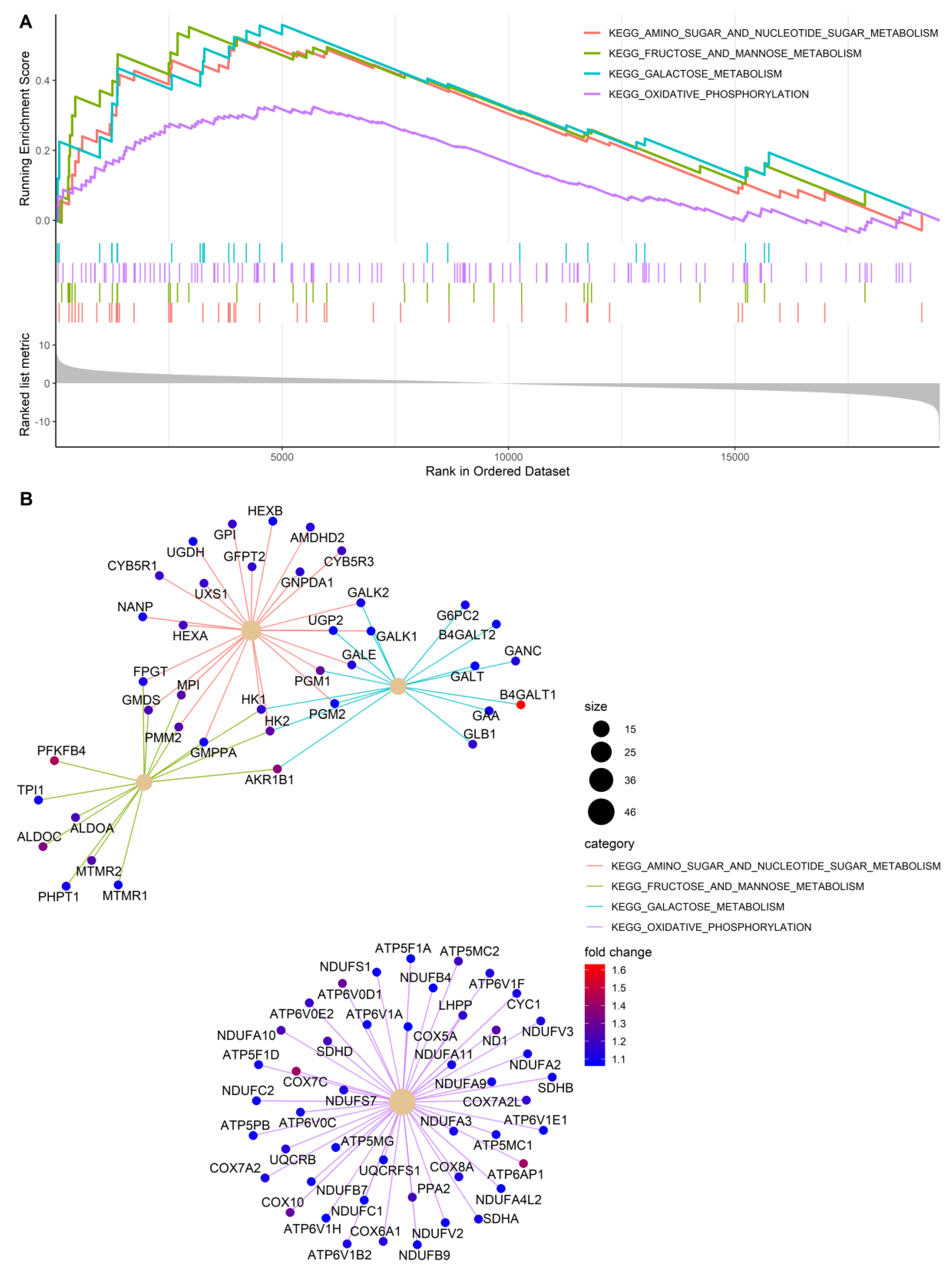 Cells 10 00325 g007 Cells 10 00325 g007
