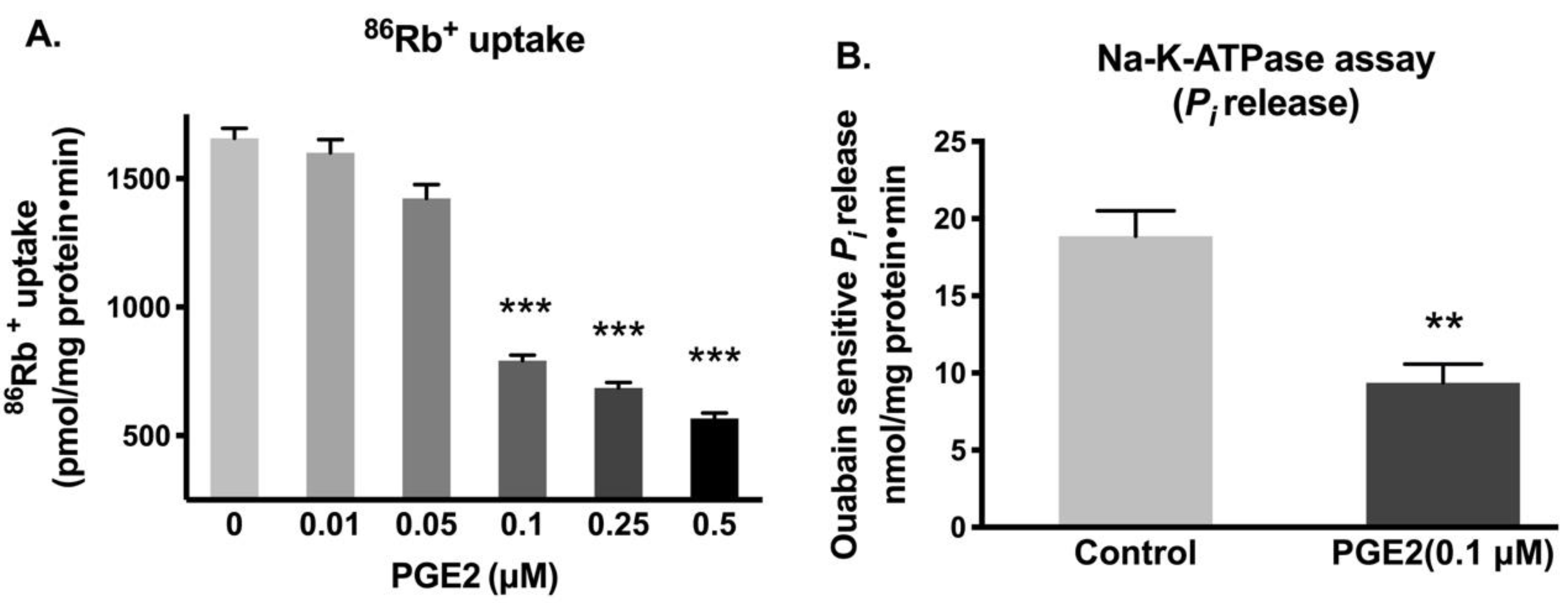 Cells 10 00752 g001 Cells 10 00752 g001