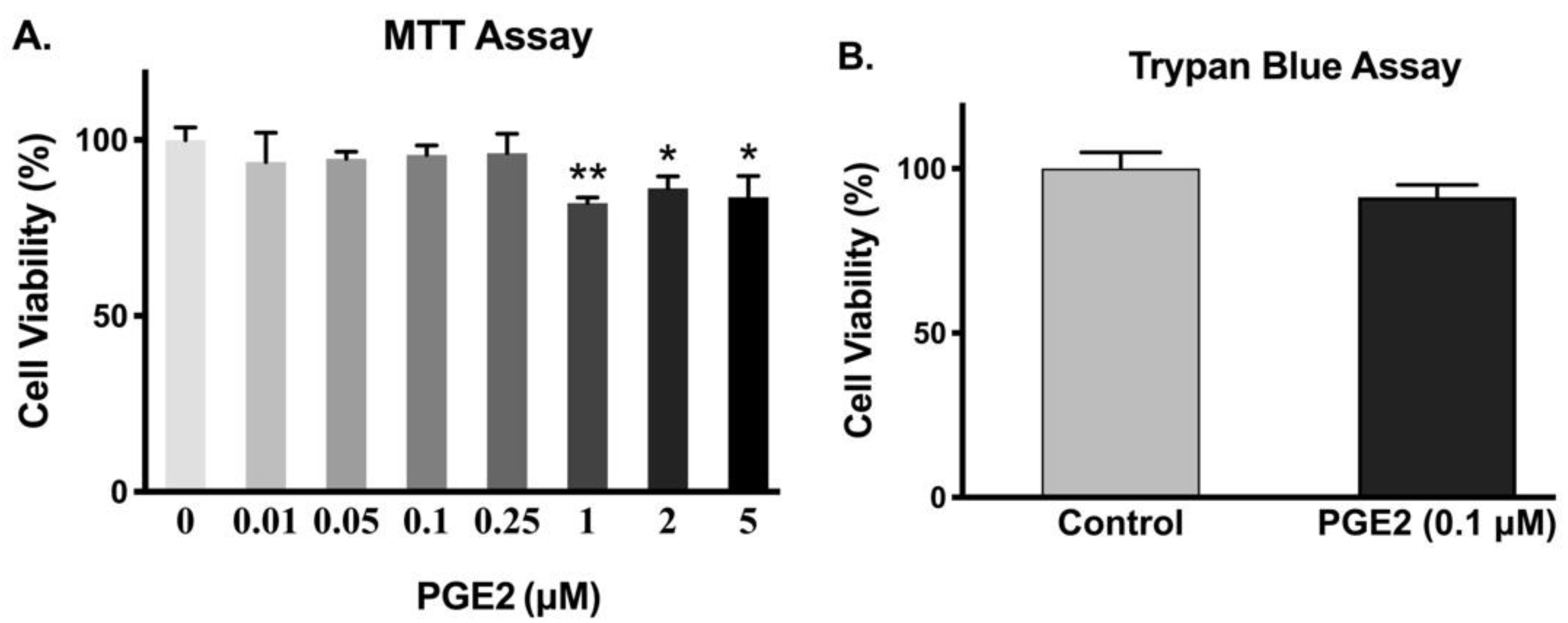 Cells 10 00752 g002 Cells 10 00752 g002