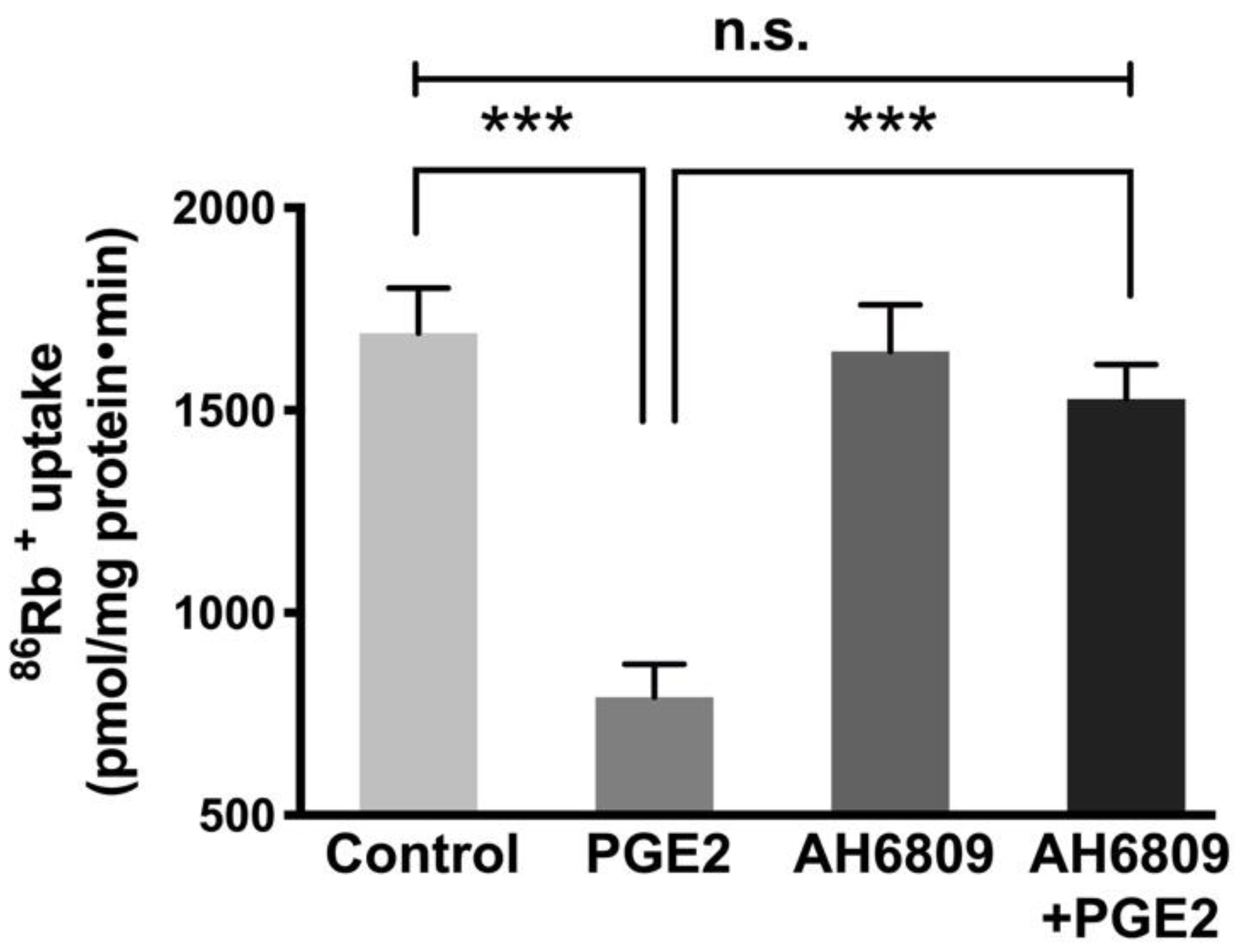 Cells 10 00752 g003 Cells 10 00752 g003