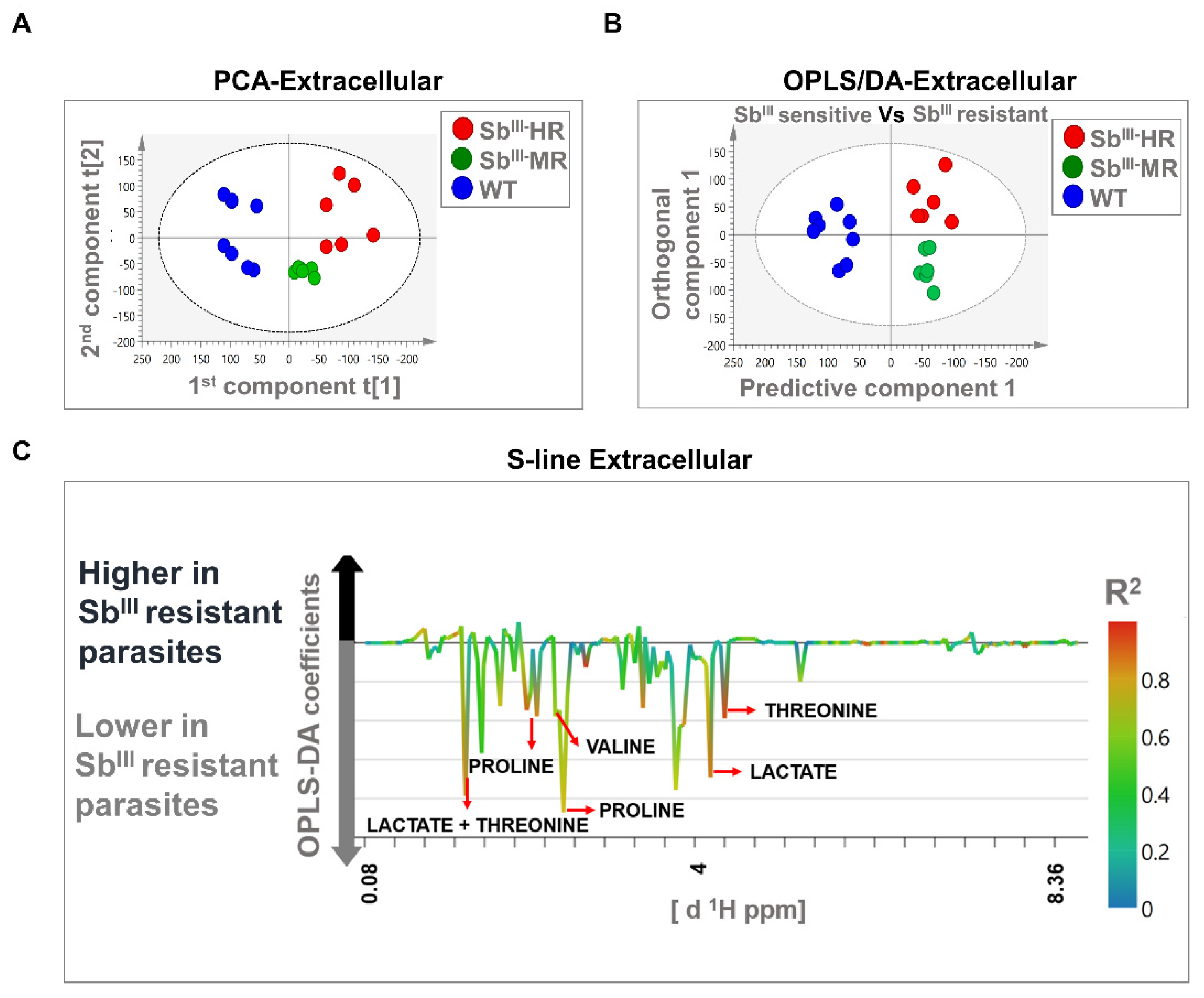 Cells 10 01063 g005 Cells 10 01063 g005