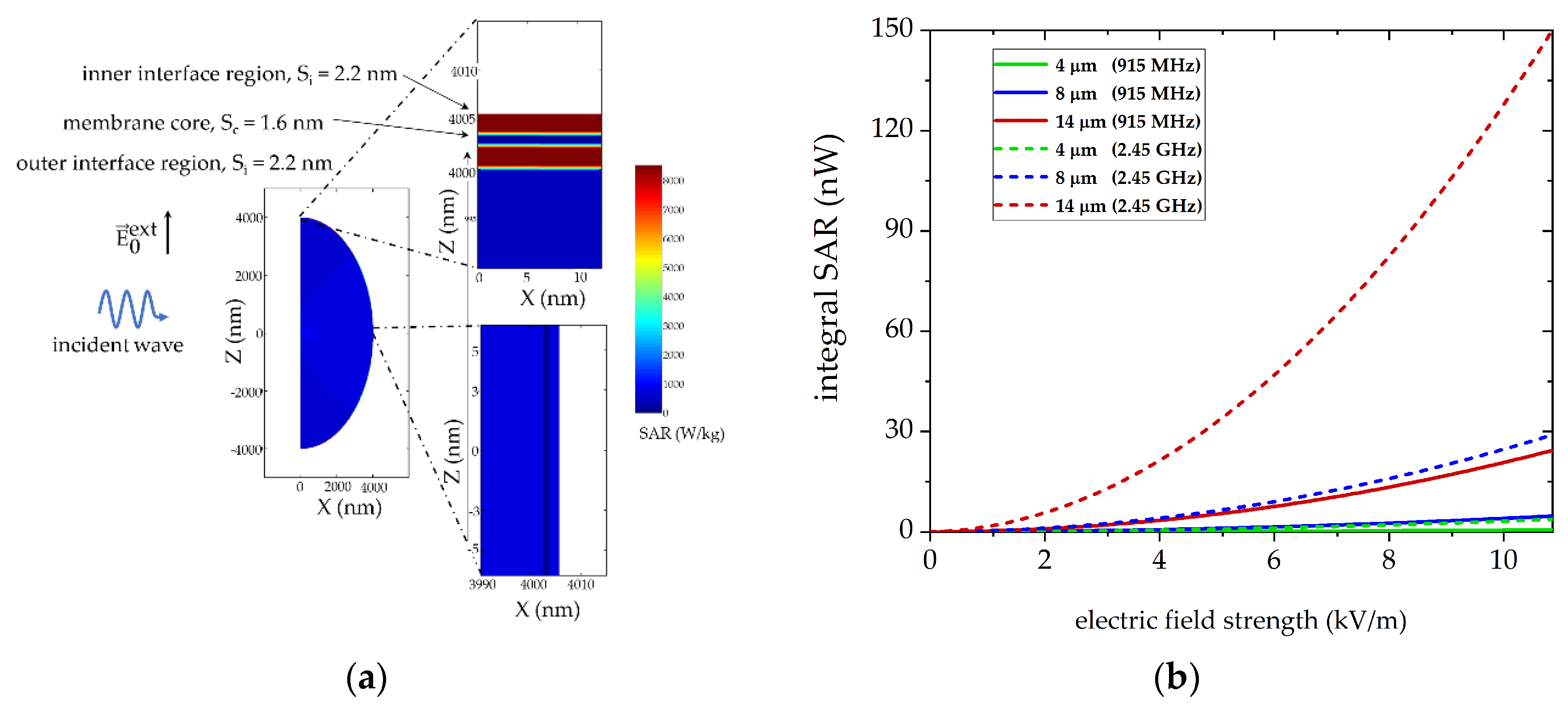 Cells 10 01436 g012a