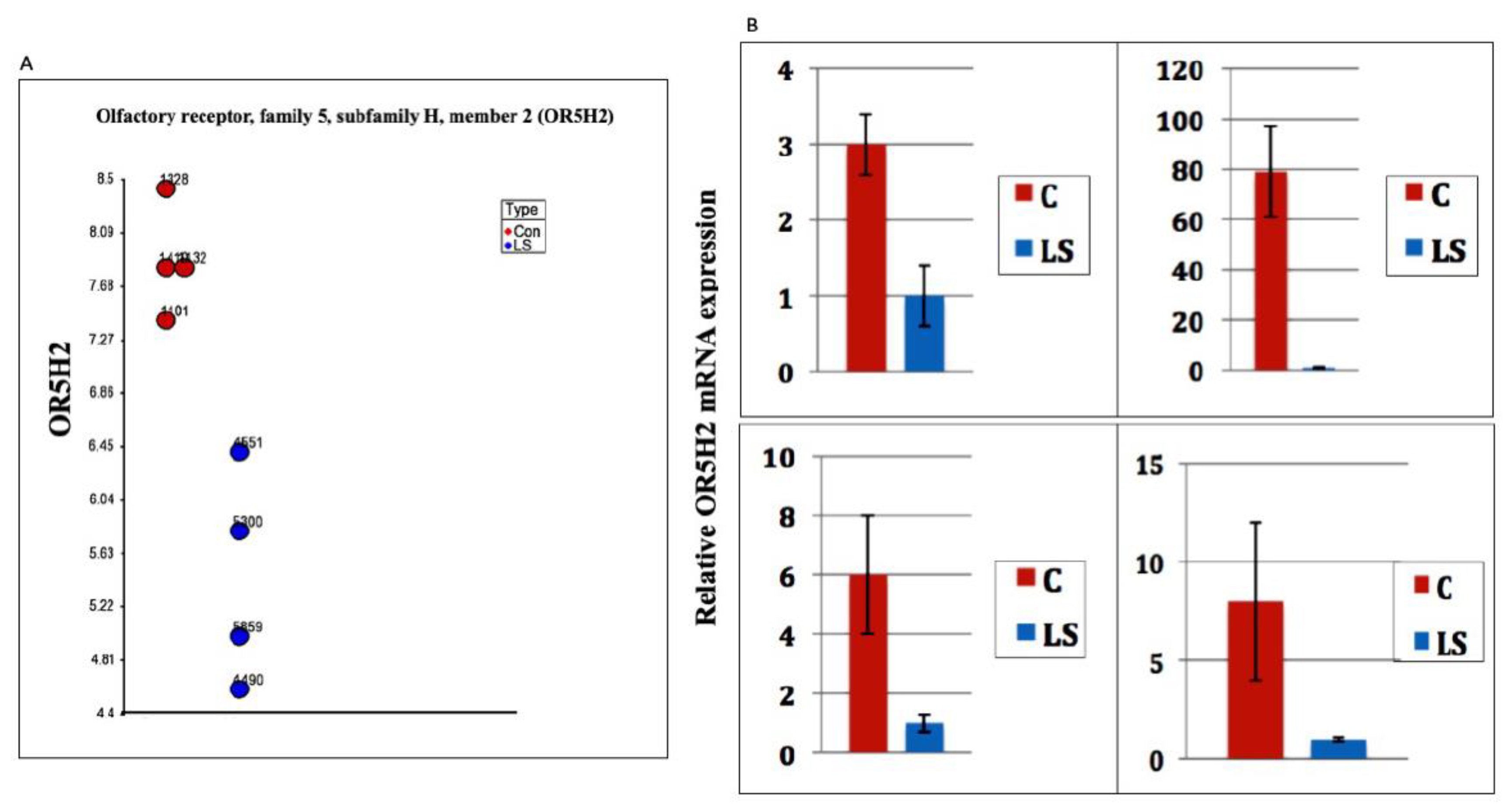 Cells 10 01483 g001 Cells 10 01483 g001