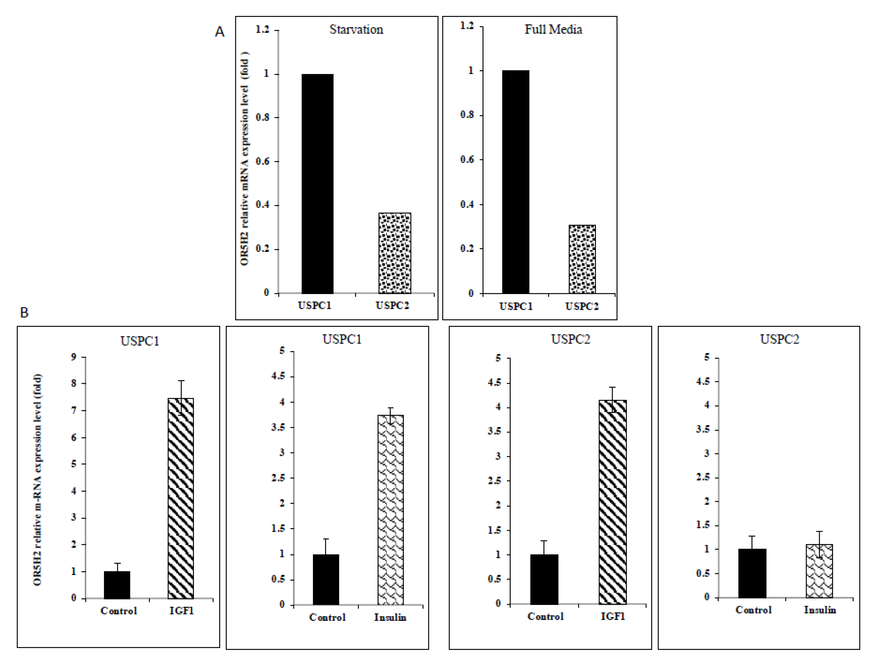 Cells 10 01483 g002 Cells 10 01483 g002