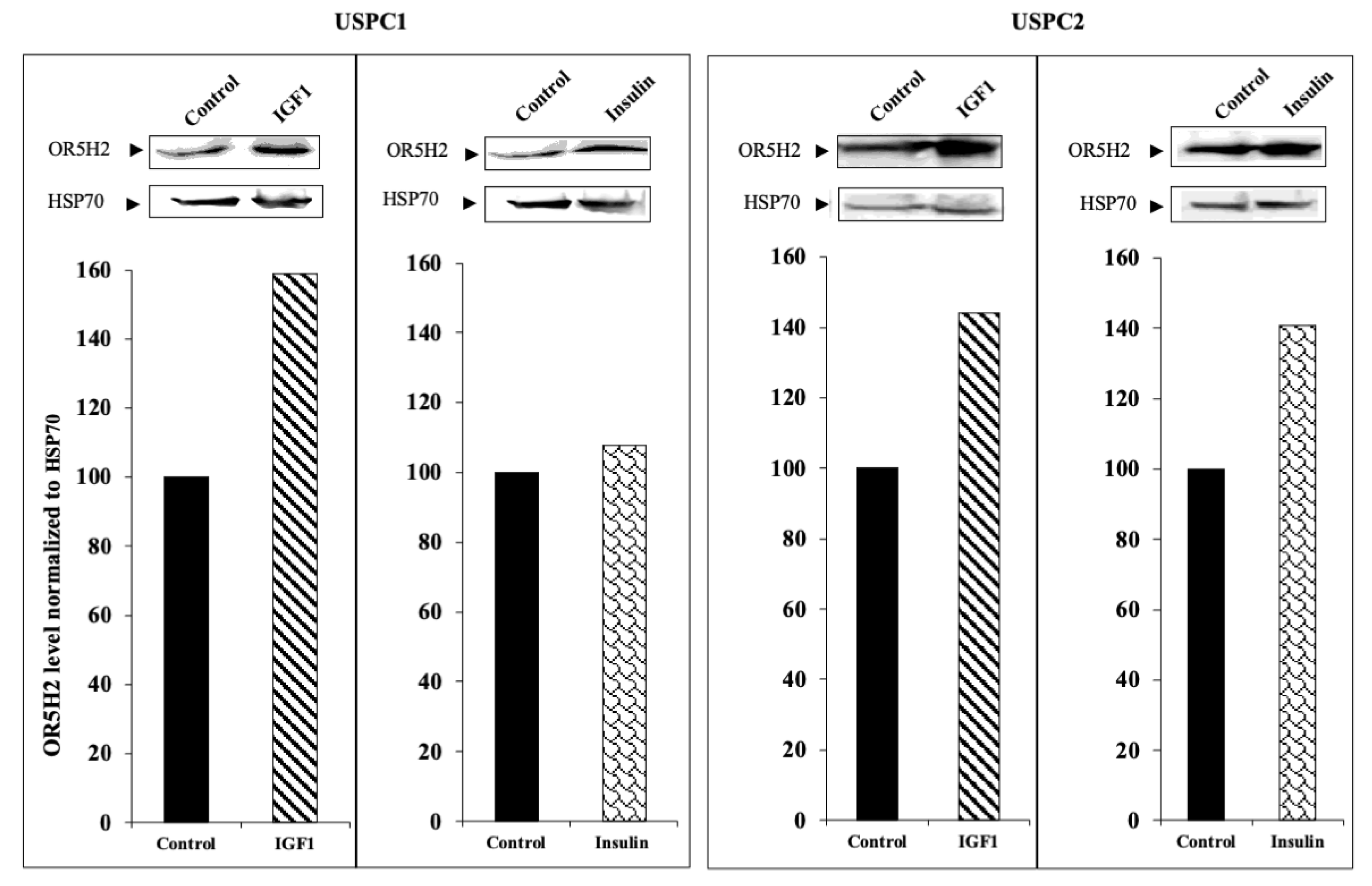 Cells 10 01483 g003 Cells 10 01483 g003