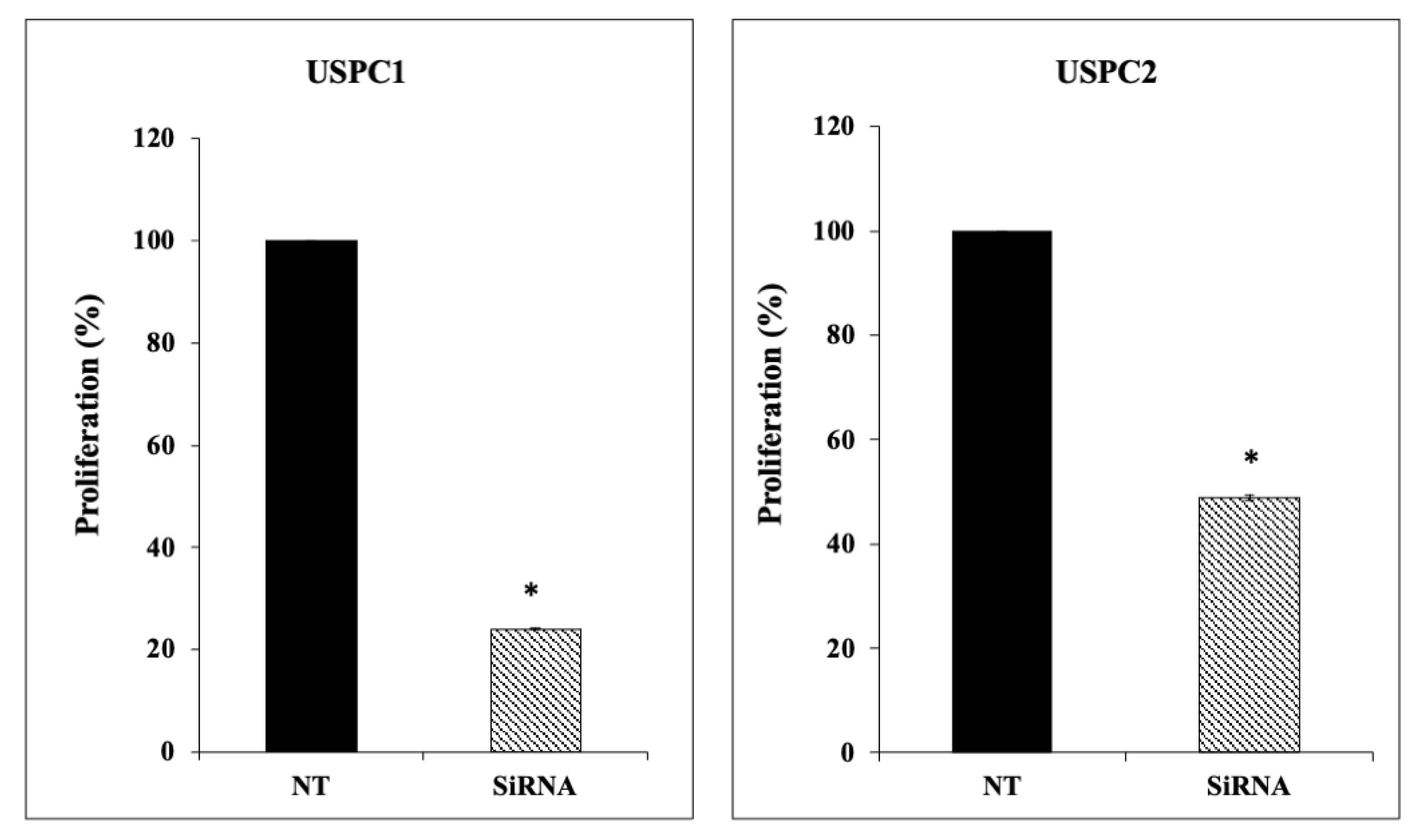 Cells 10 01483 g007 Cells 10 01483 g007