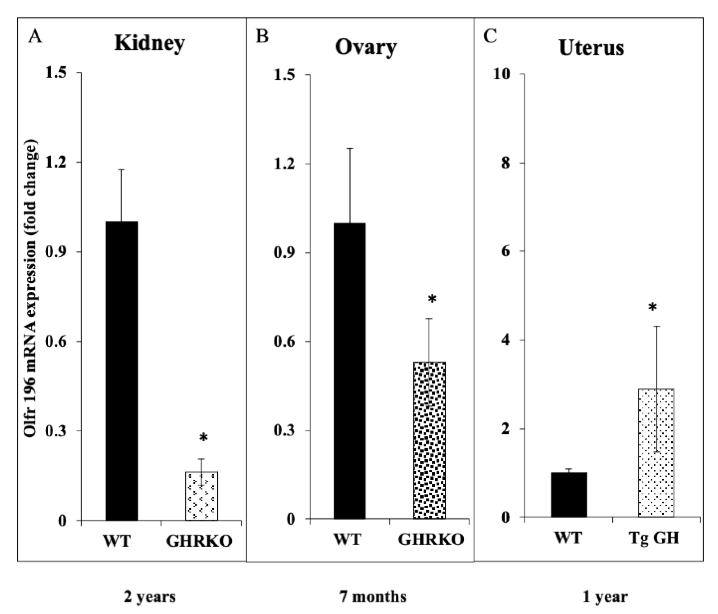 Cells 10 01483 g009 Cells 10 01483 g009