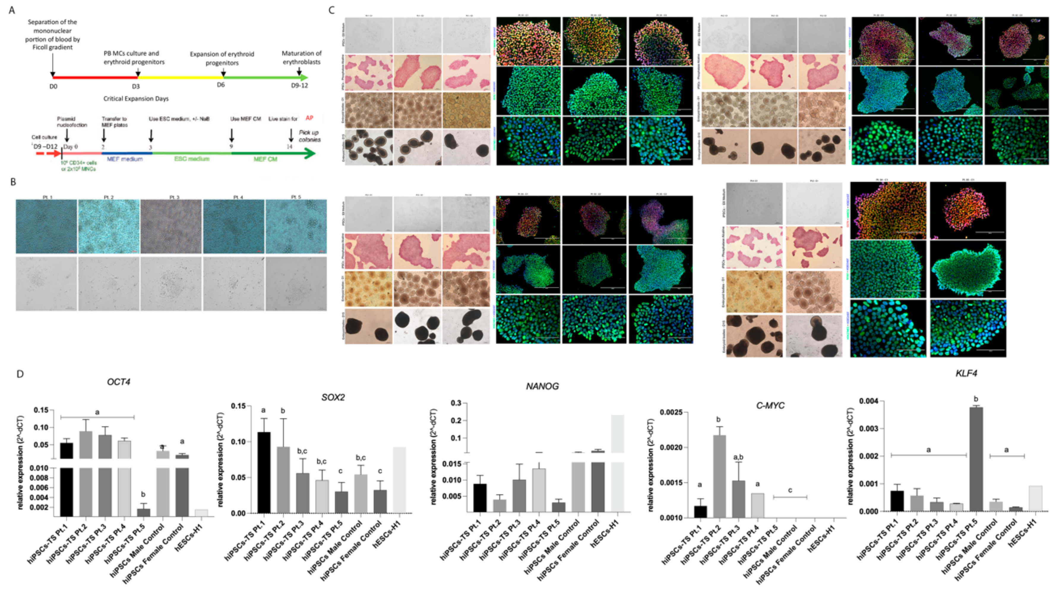 Cells 10 03099 g001 Cells 10 03099 g001