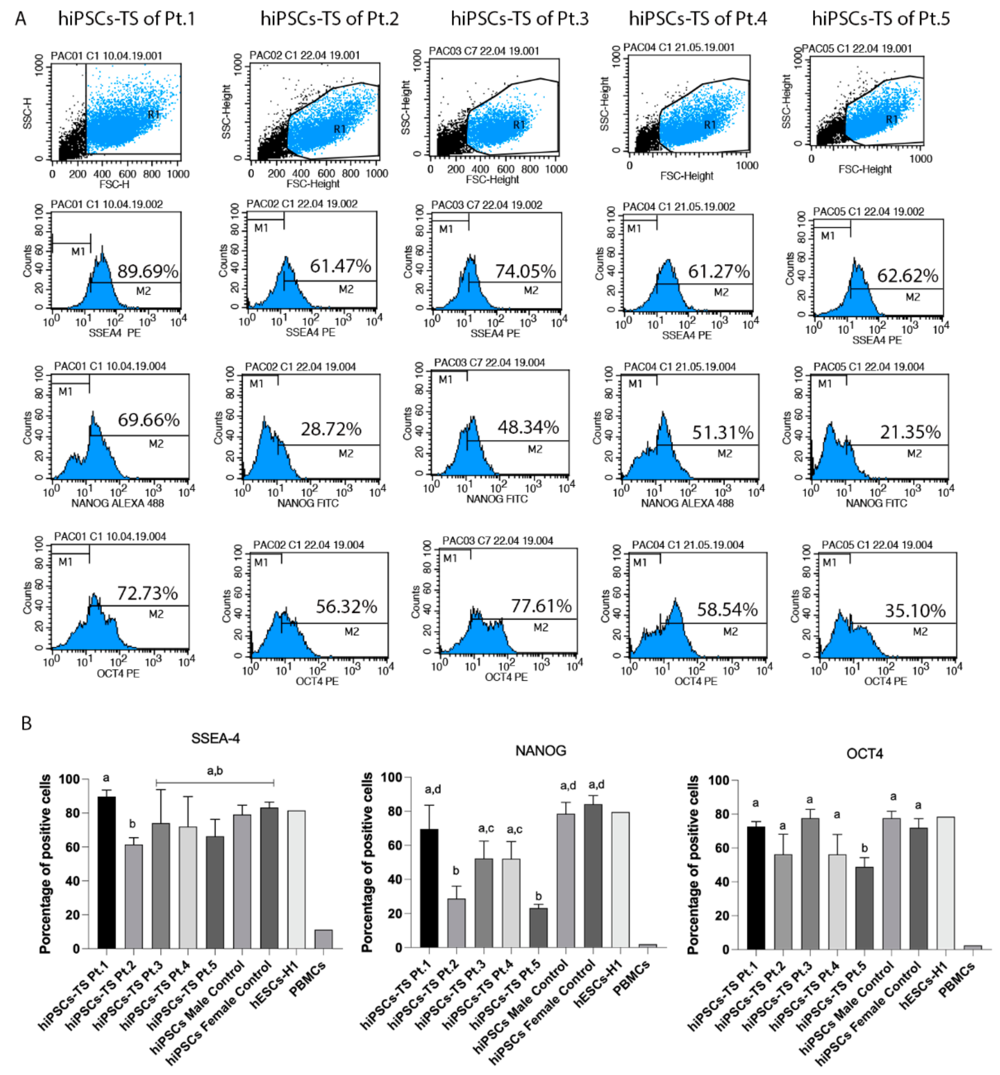 Cells 10 03099 g002 Cells 10 03099 g002