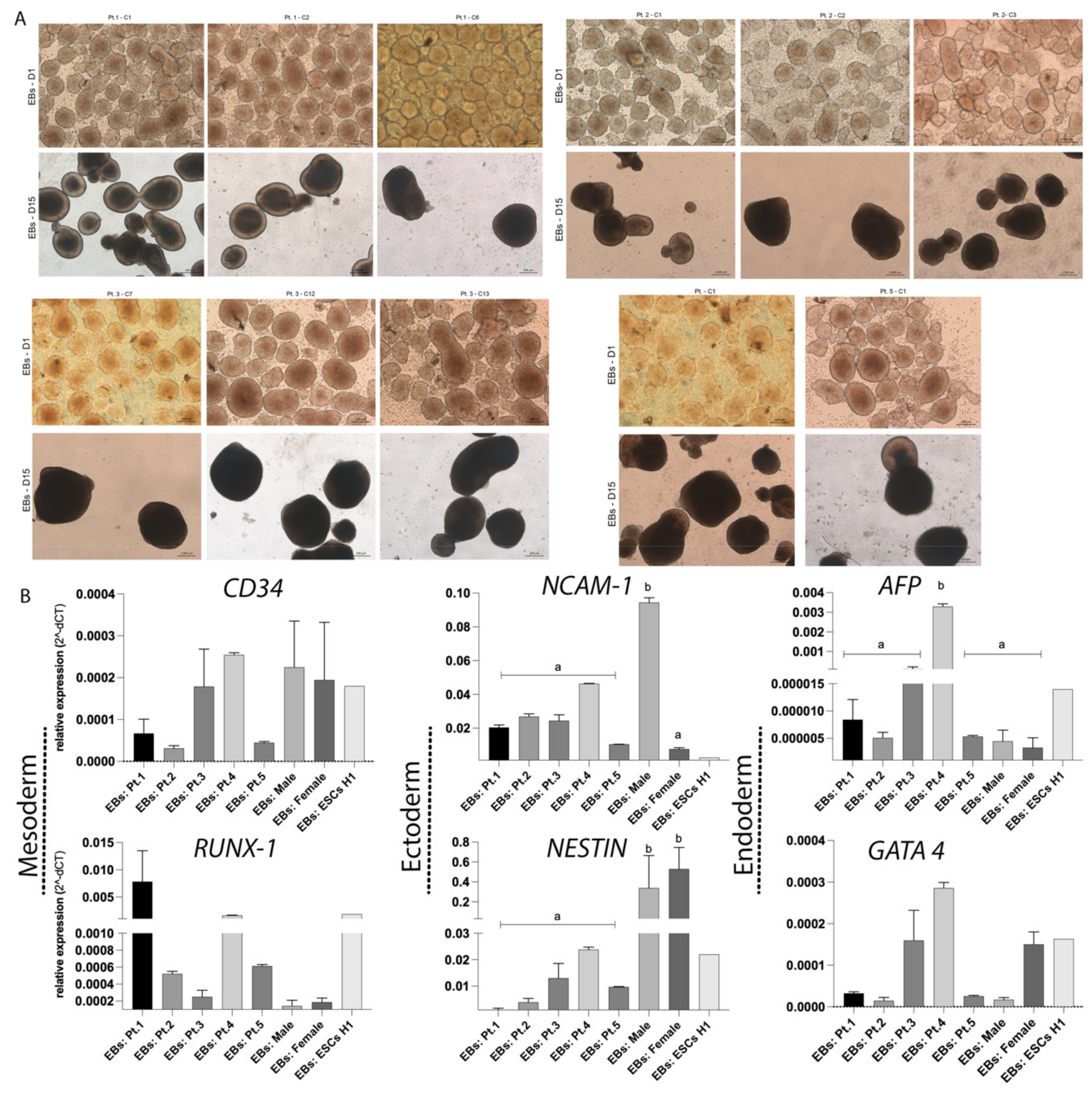 Cells 10 03099 g003 Cells 10 03099 g003